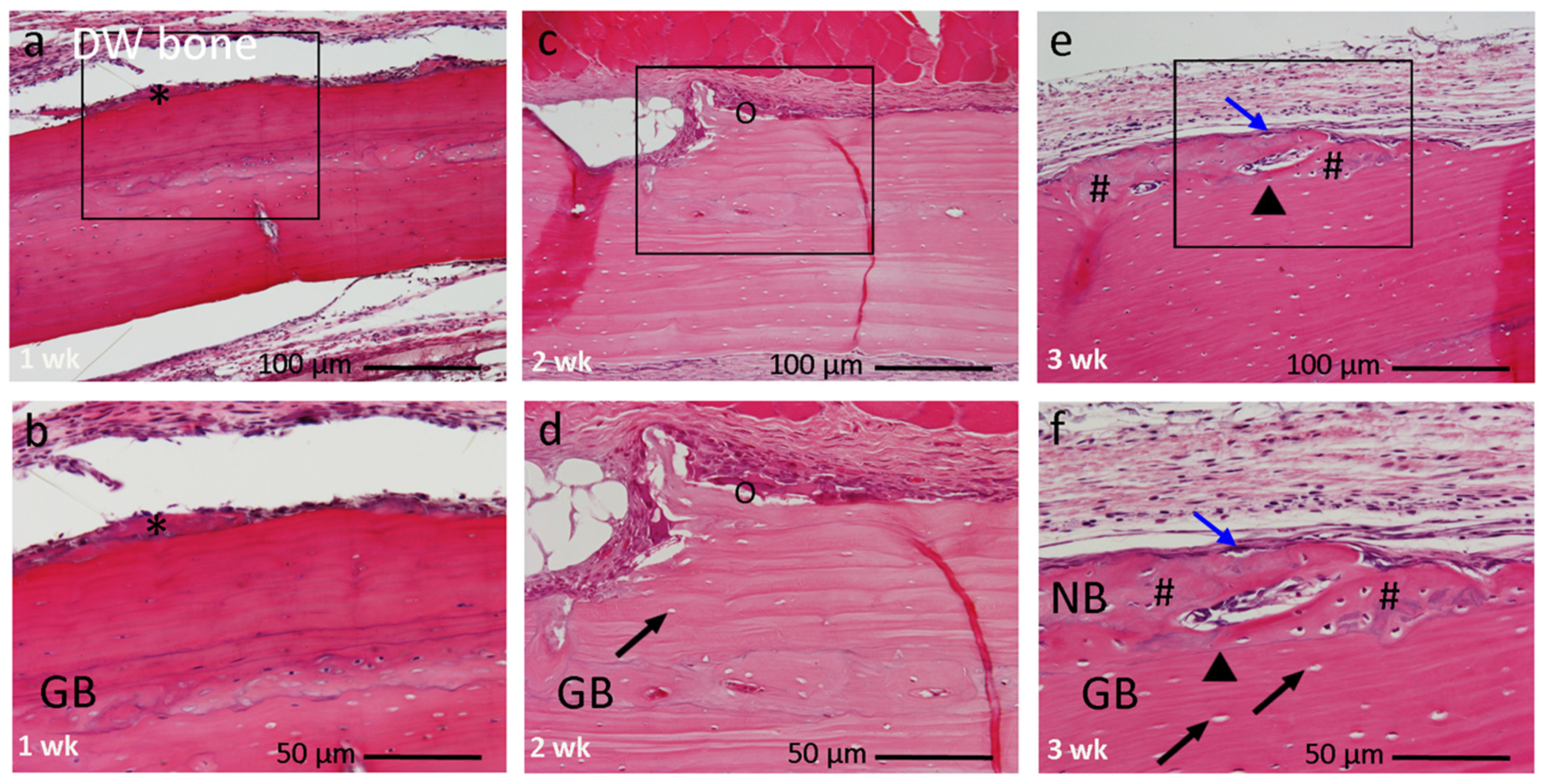 Materials 14 03347 g005 Materials 14 03347 g005
