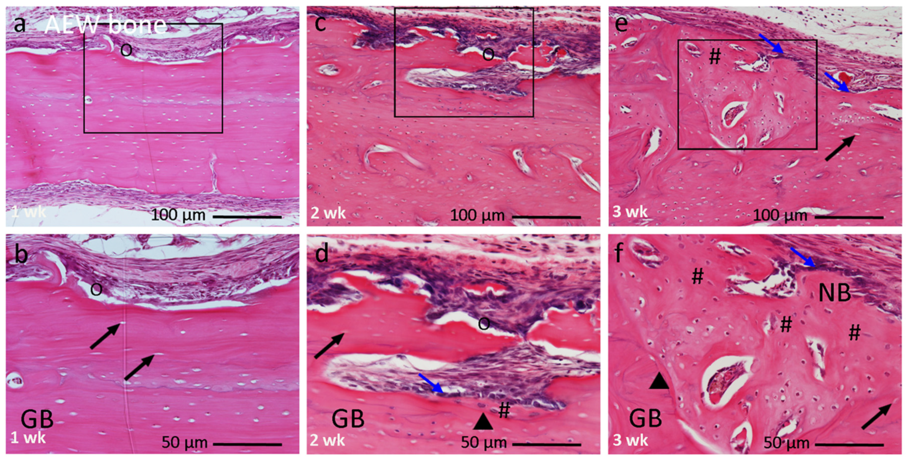 Materials 14 03347 g006 Materials 14 03347 g006