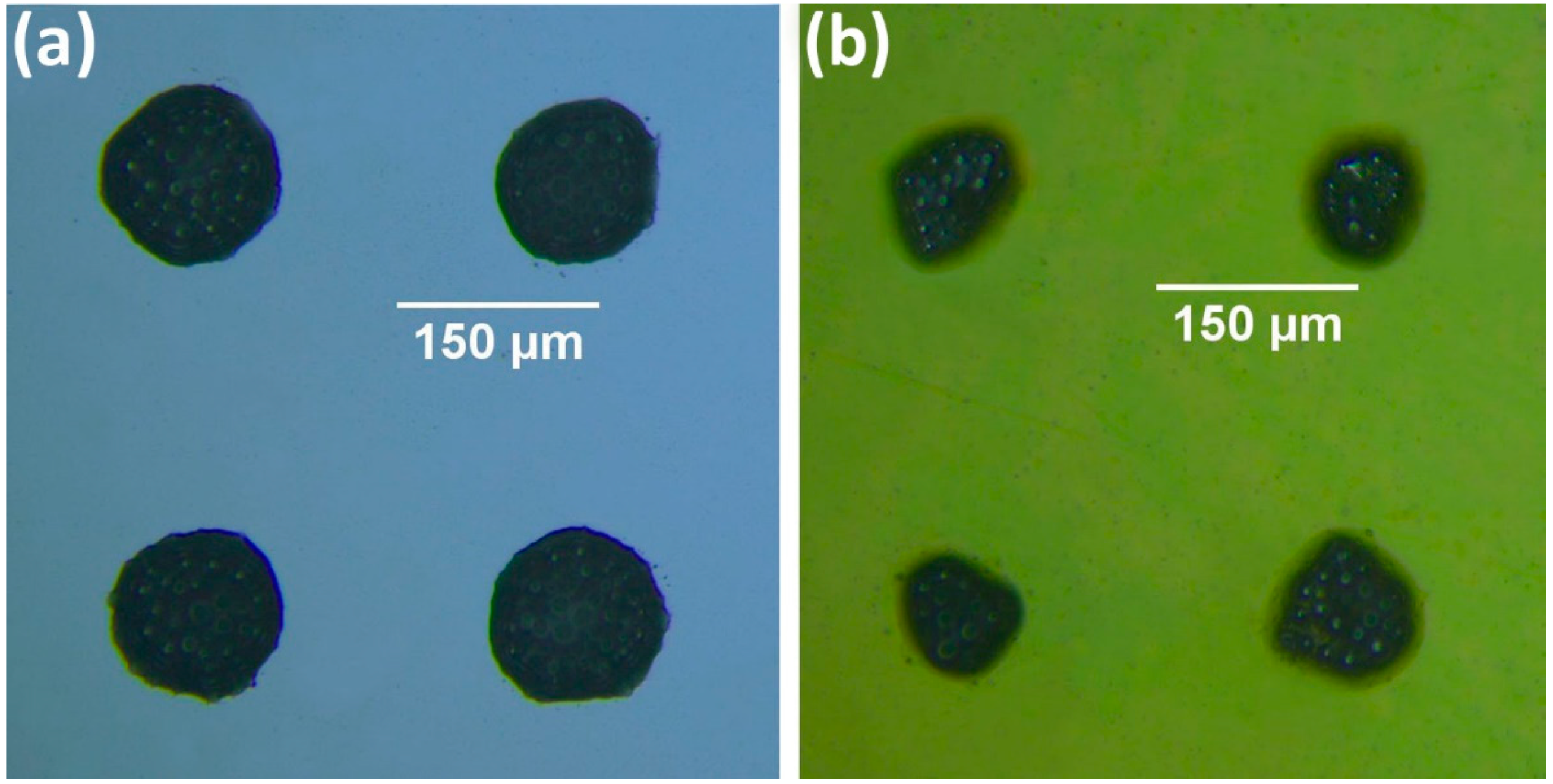 Materials 14 03353 g004