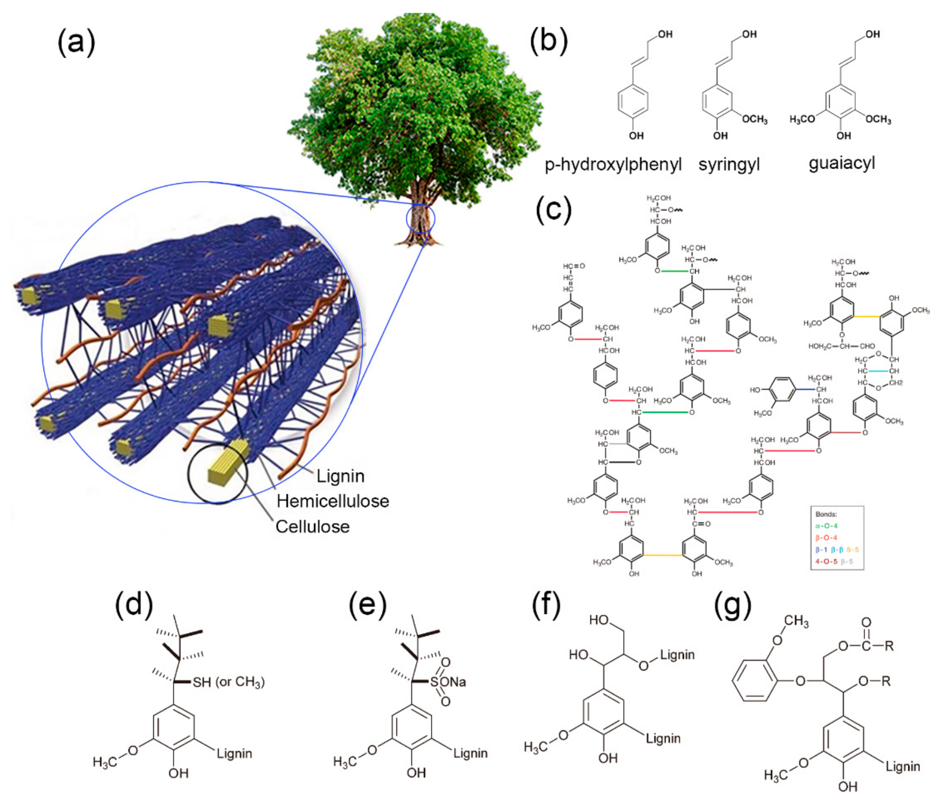 Materials 14 03378 g002 Materials 14 03378 g002