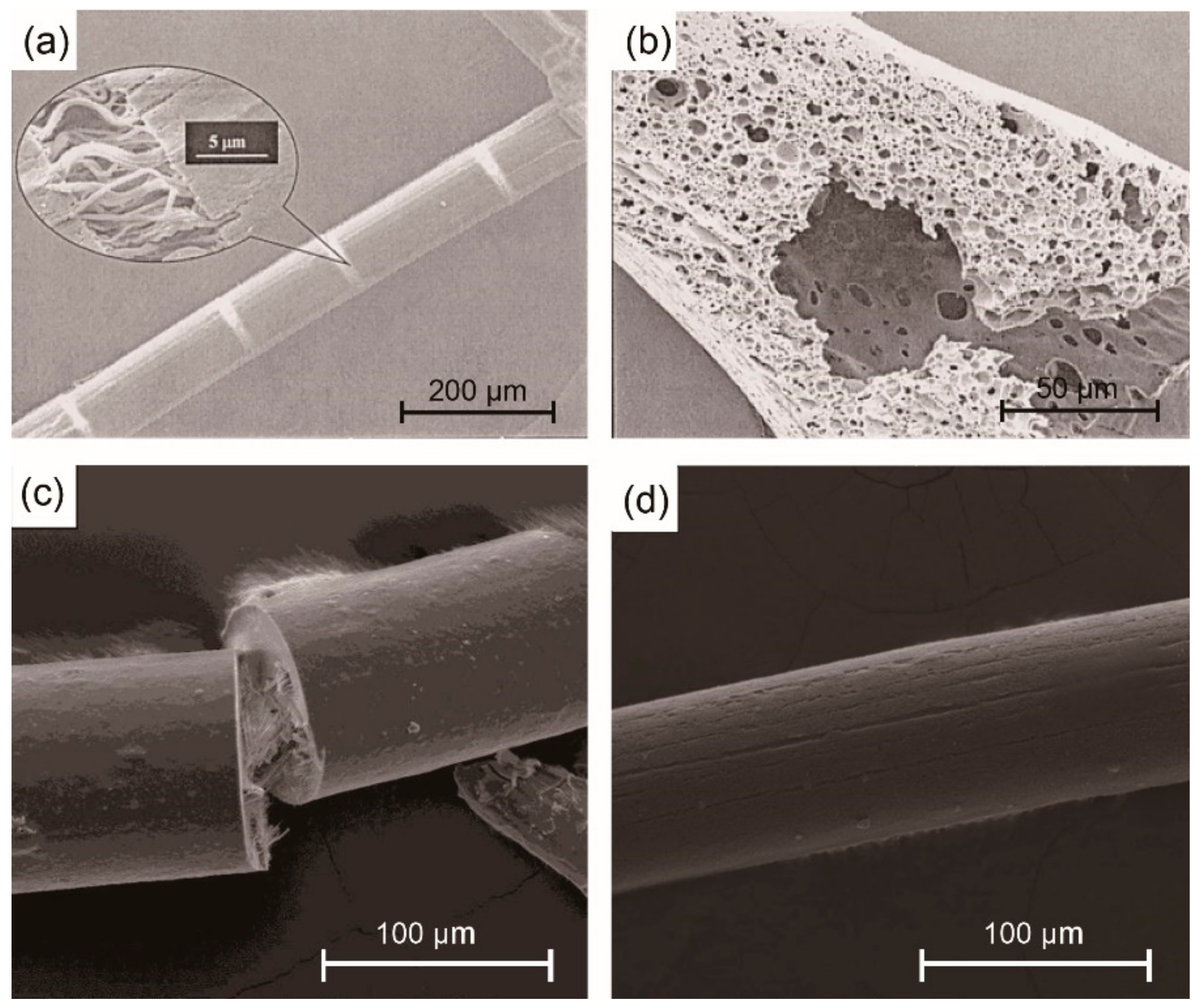 Materials 14 03378 g005 Materials 14 03378 g005