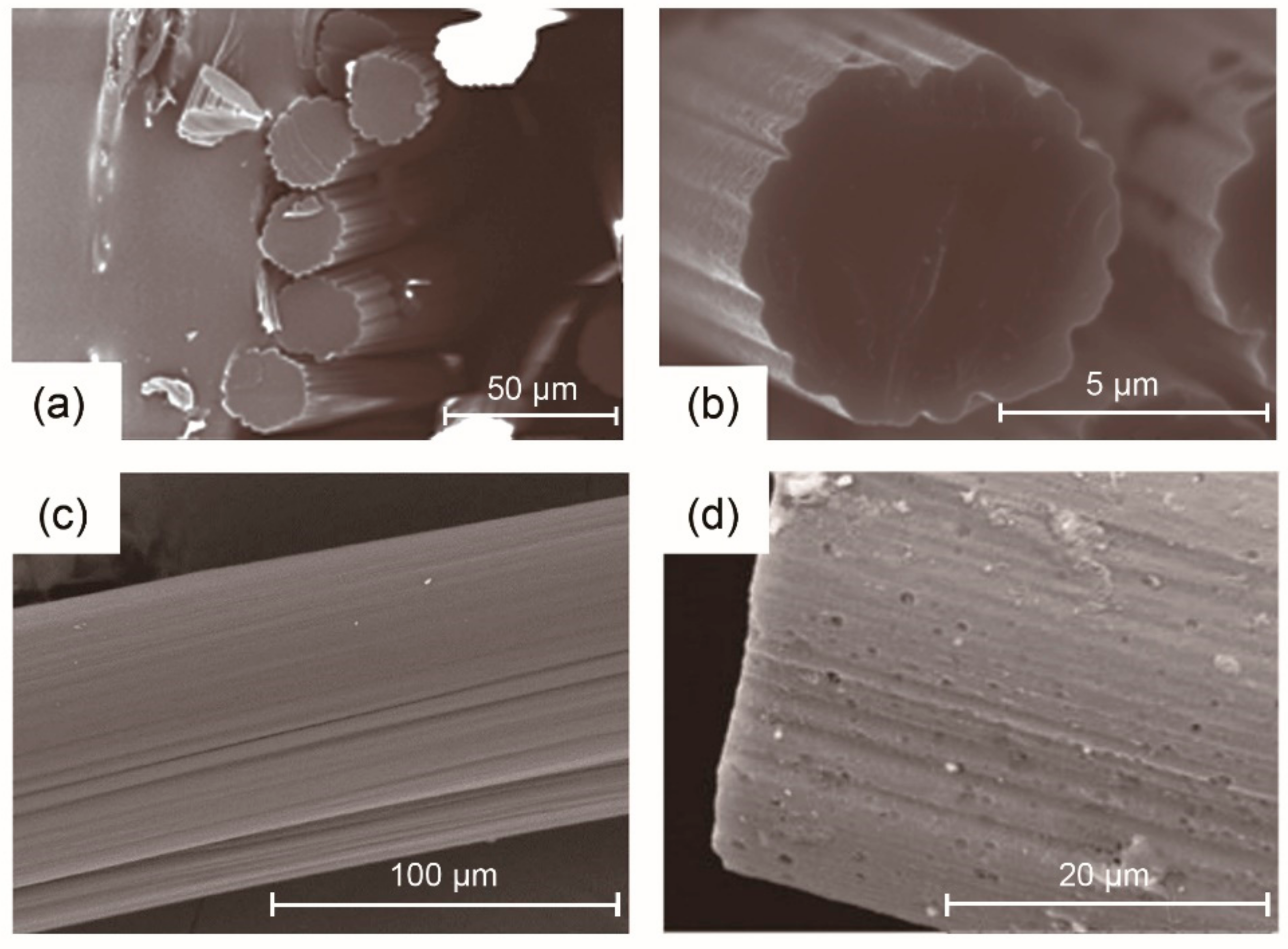 Materials 14 03378 g008 Materials 14 03378 g008