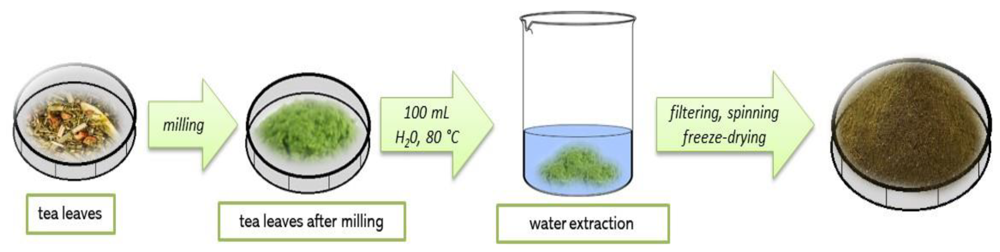 Materials 14 03379 g001