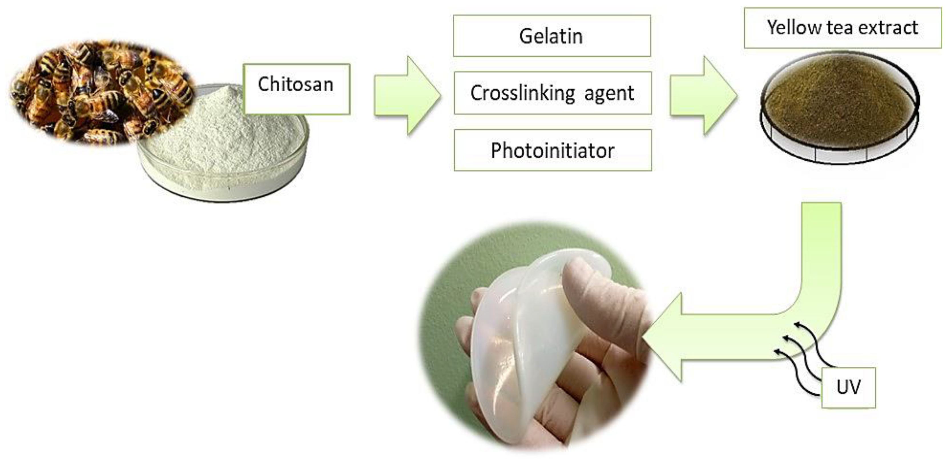 Materials 14 03379 g002