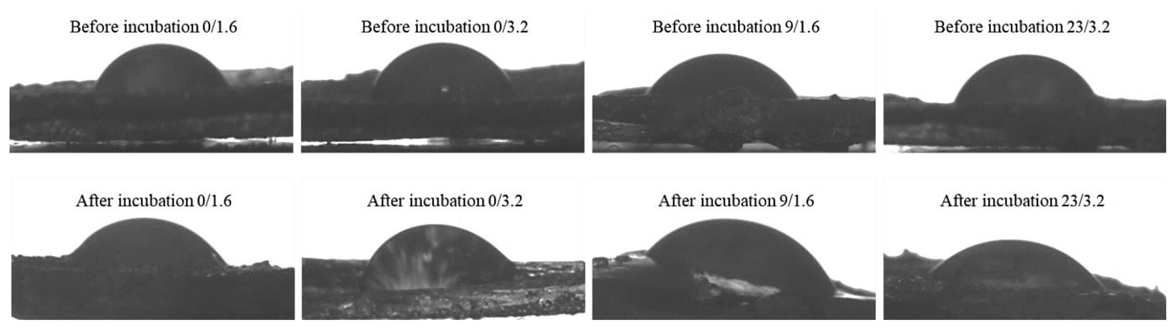 Materials 14 03379 g008