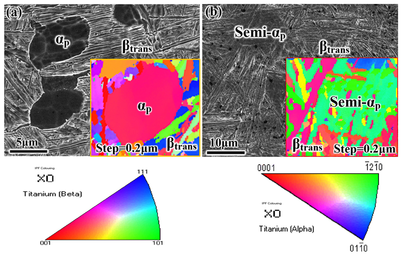 Materials 14 03380 g005
