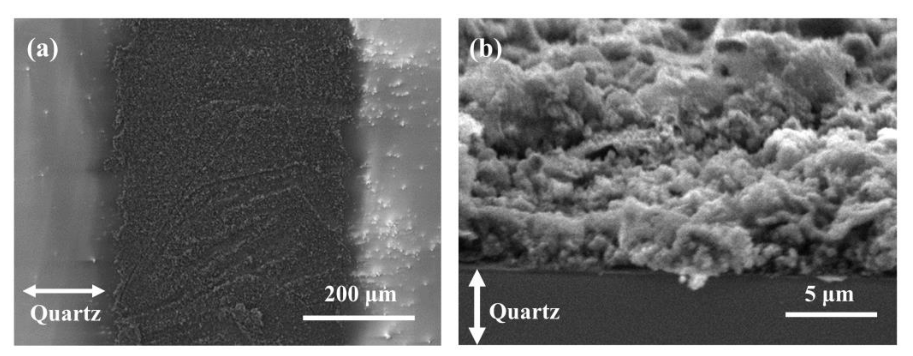 Materials 14 03388 g007