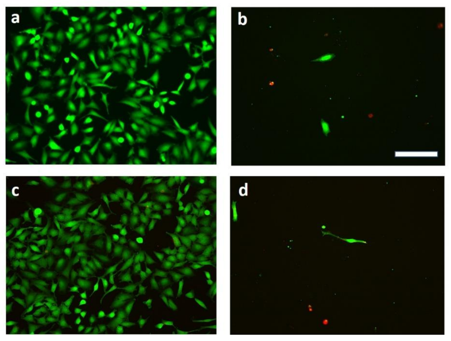 Materials 14 03517 g005