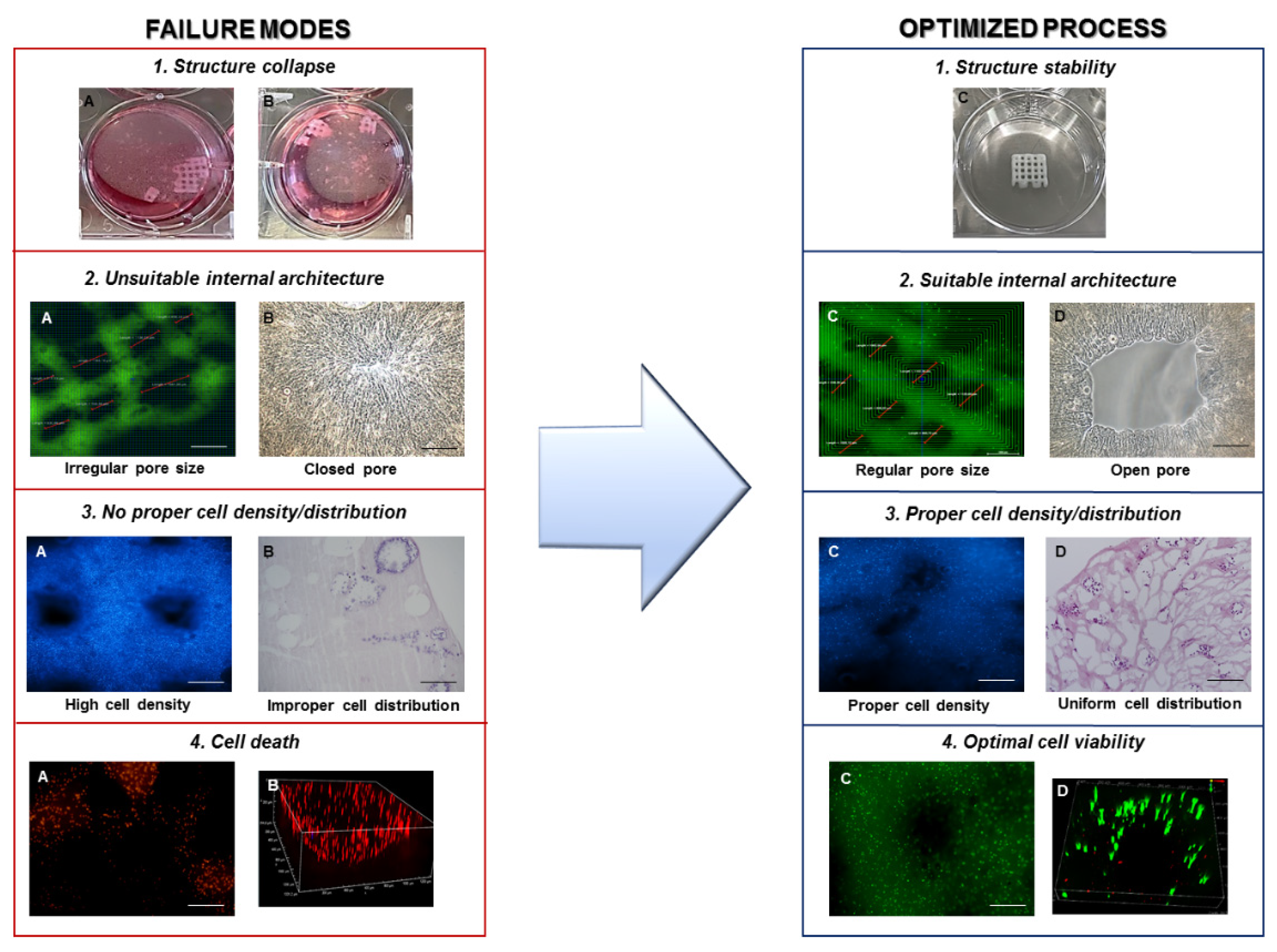 Materials 14 03528 g003