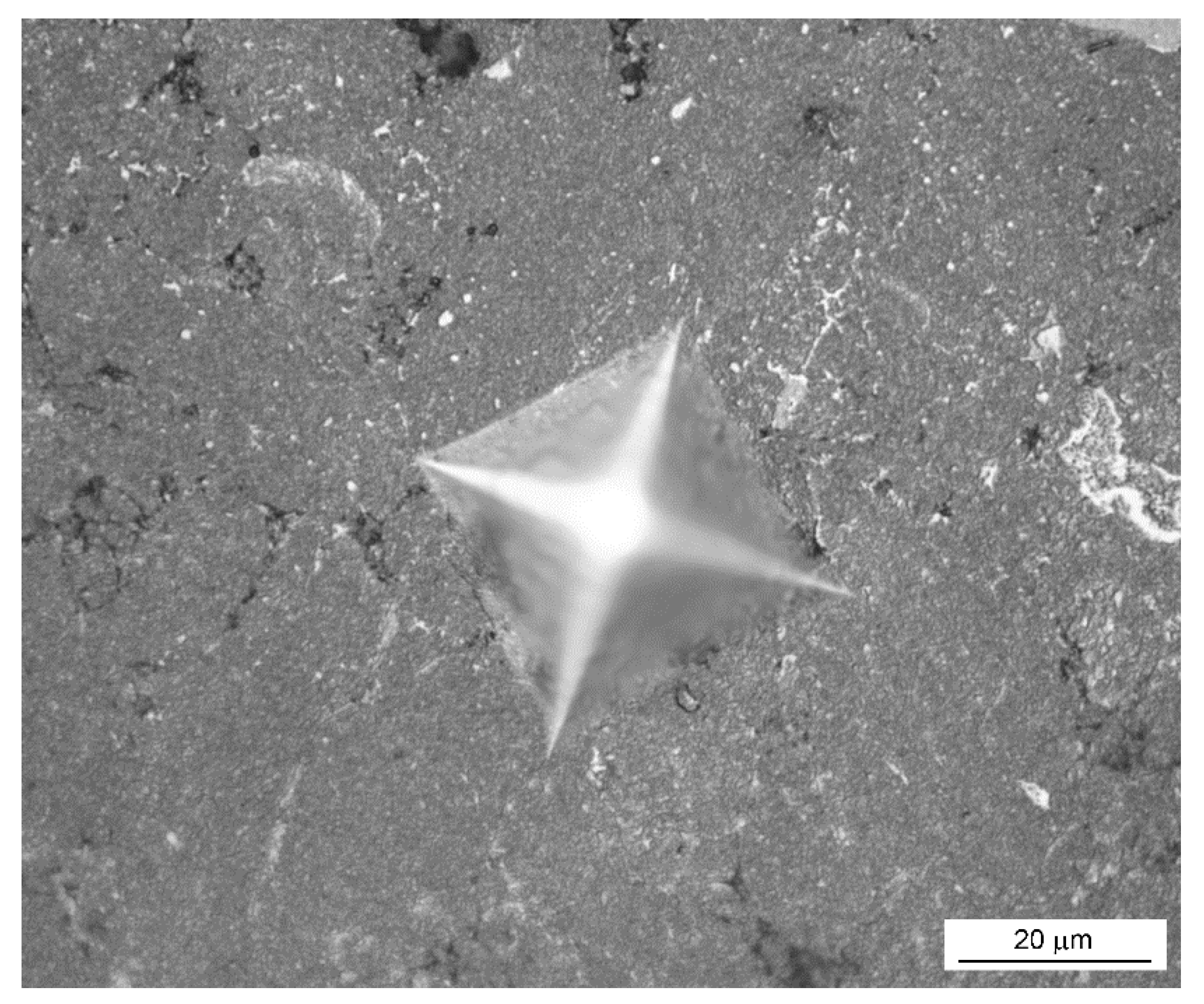 Materials 14 03541 g004