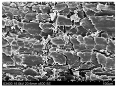 Materials 14 03564 i010