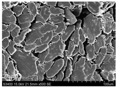 Materials 14 03564 i012