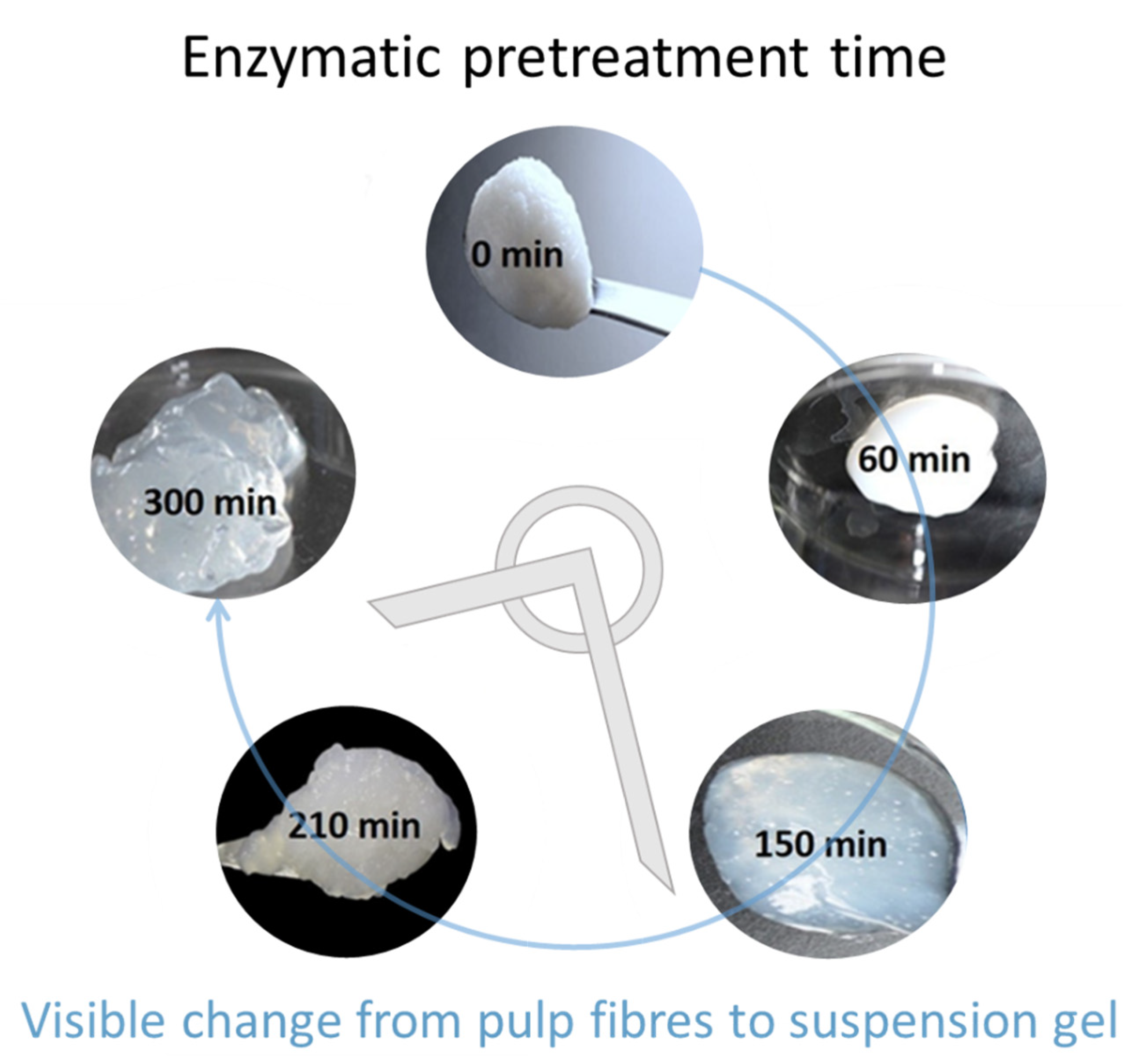 Materials 14 03571 g001