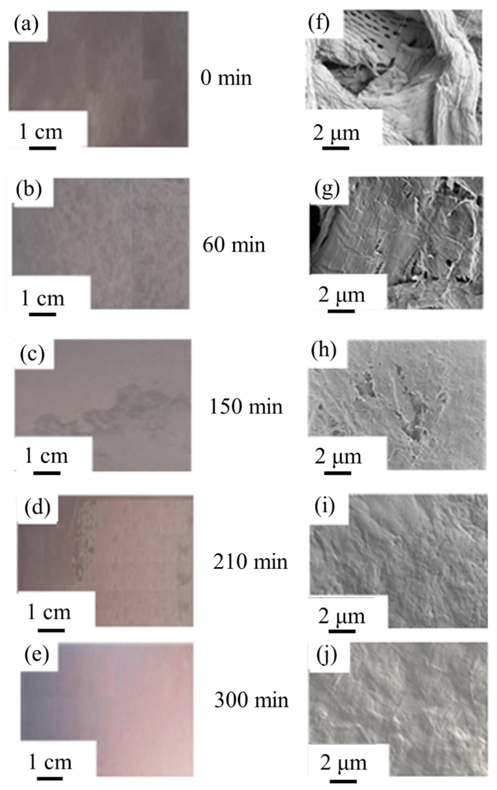 Materials 14 03571 g007