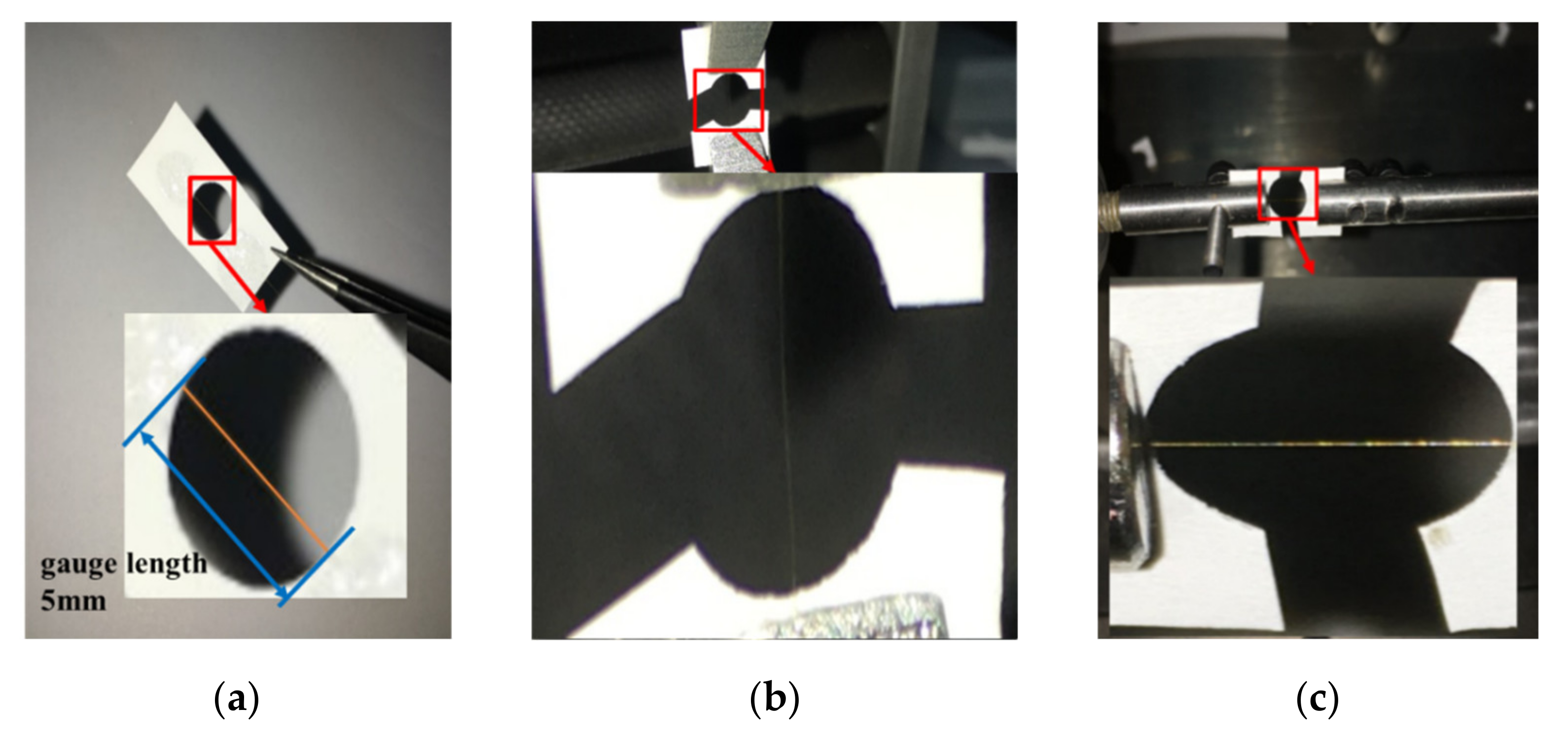 Materials 14 03574 g003