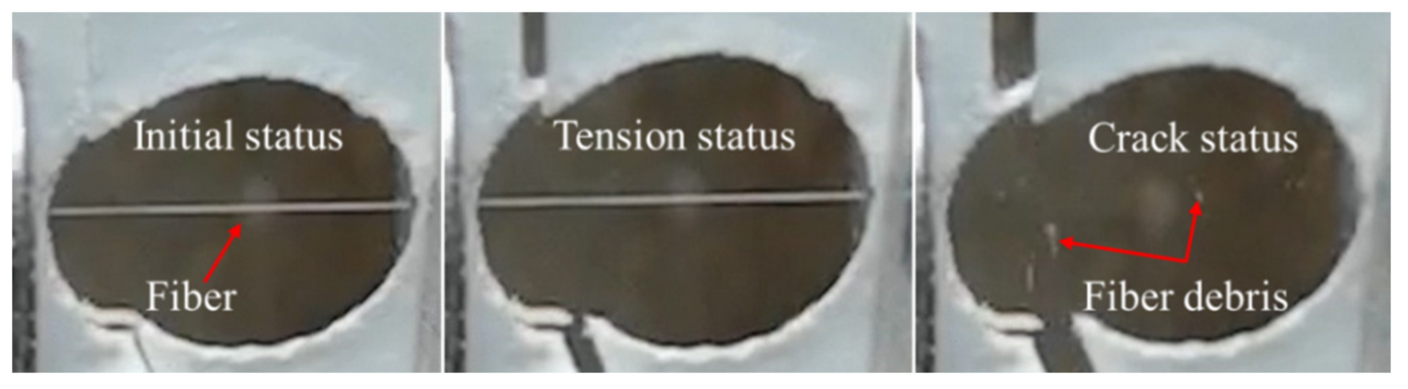 Materials 14 03574 g004