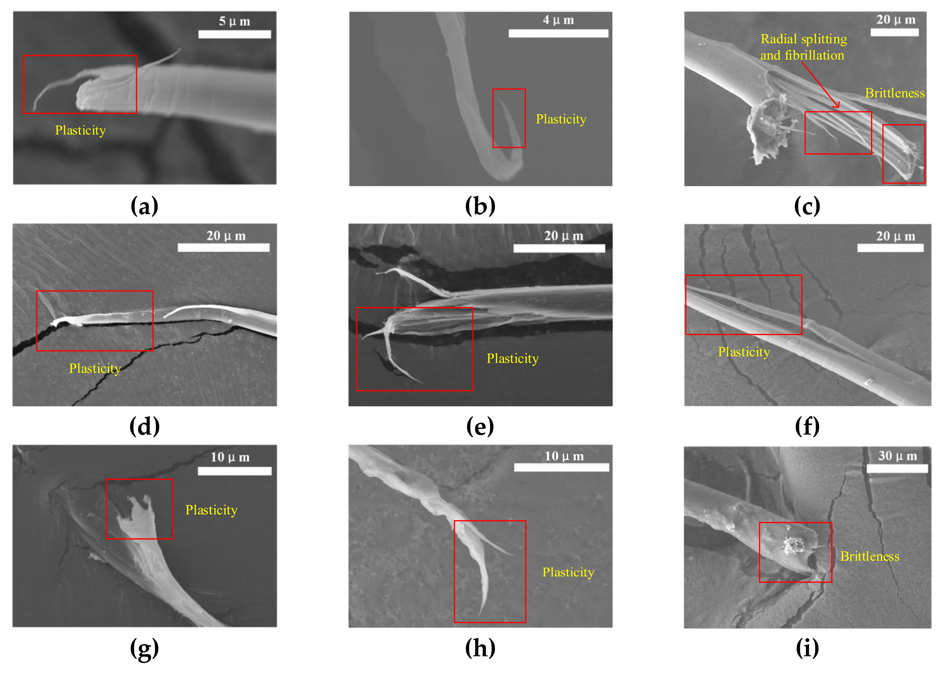 Materials 14 03574 g006