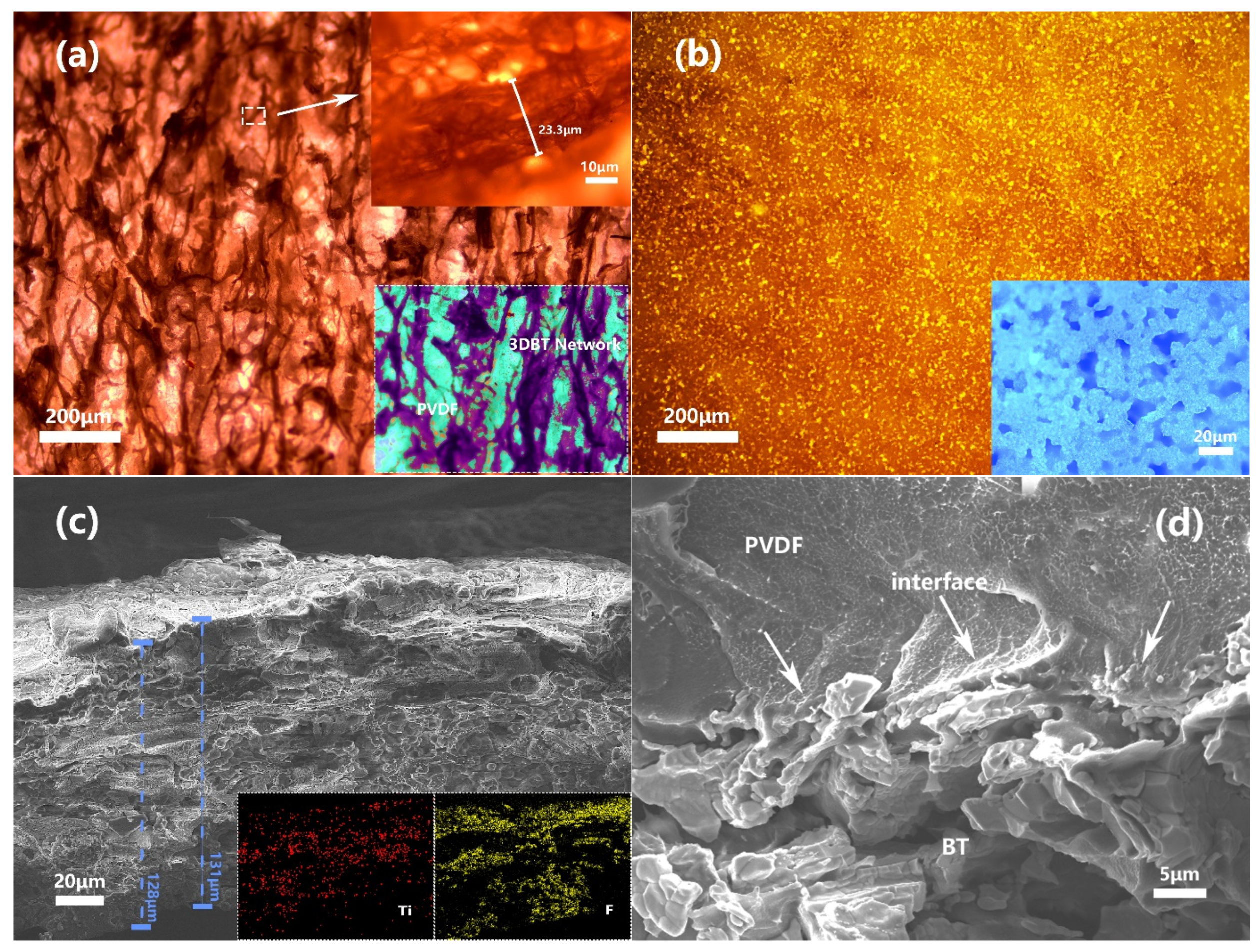Materials 14 03585 g005
