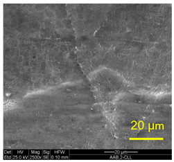 Materials 14 03598 i006