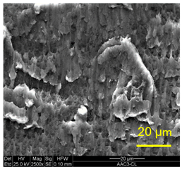 Materials 14 03598 i008