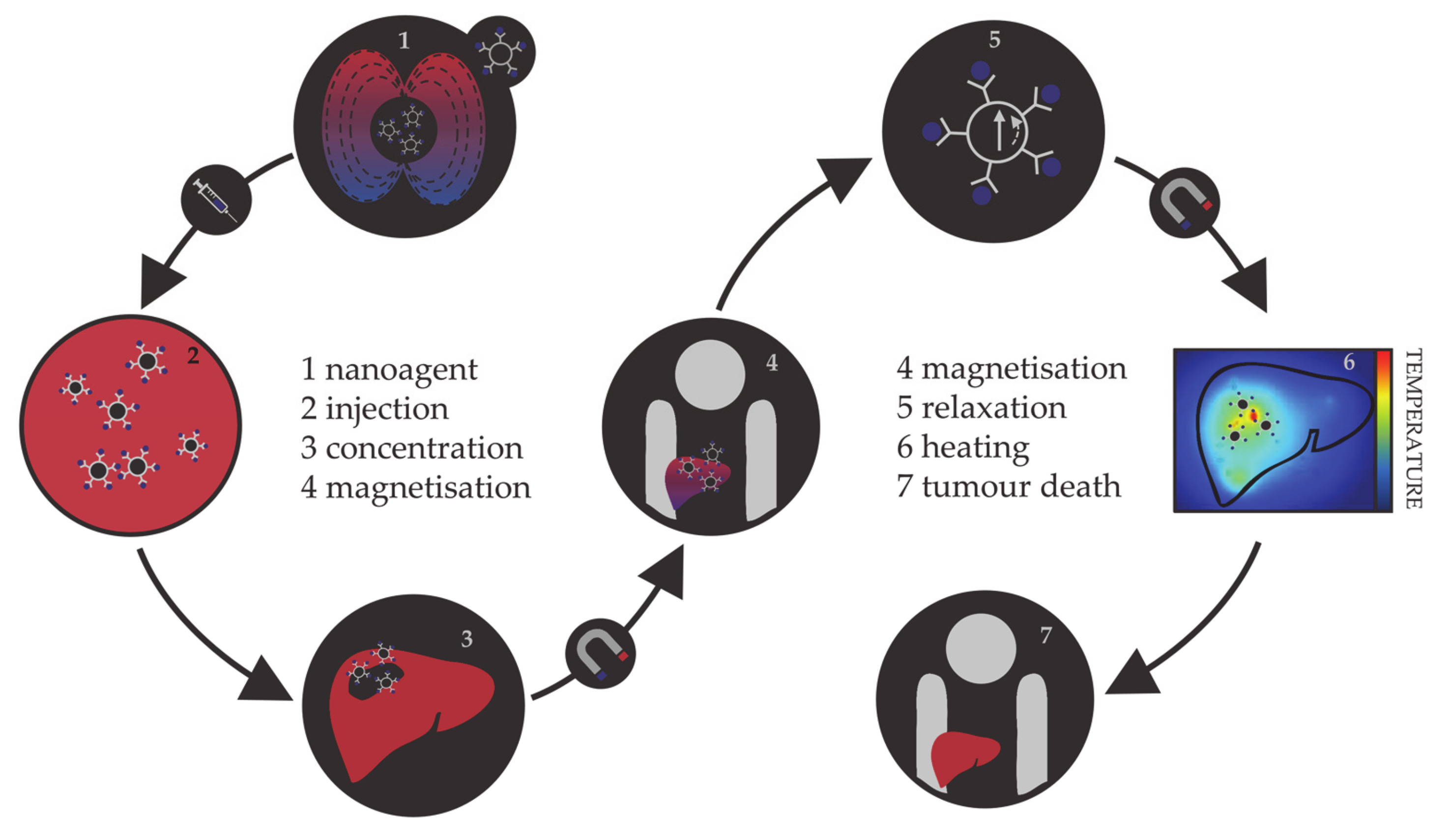 Materials | Free Full-Text | A Perspective on Modelling Metallic Magnetic  Nanoparticles in Biomedicine: From Monometals to Nanoalloys and  Ligand-Protected Particles