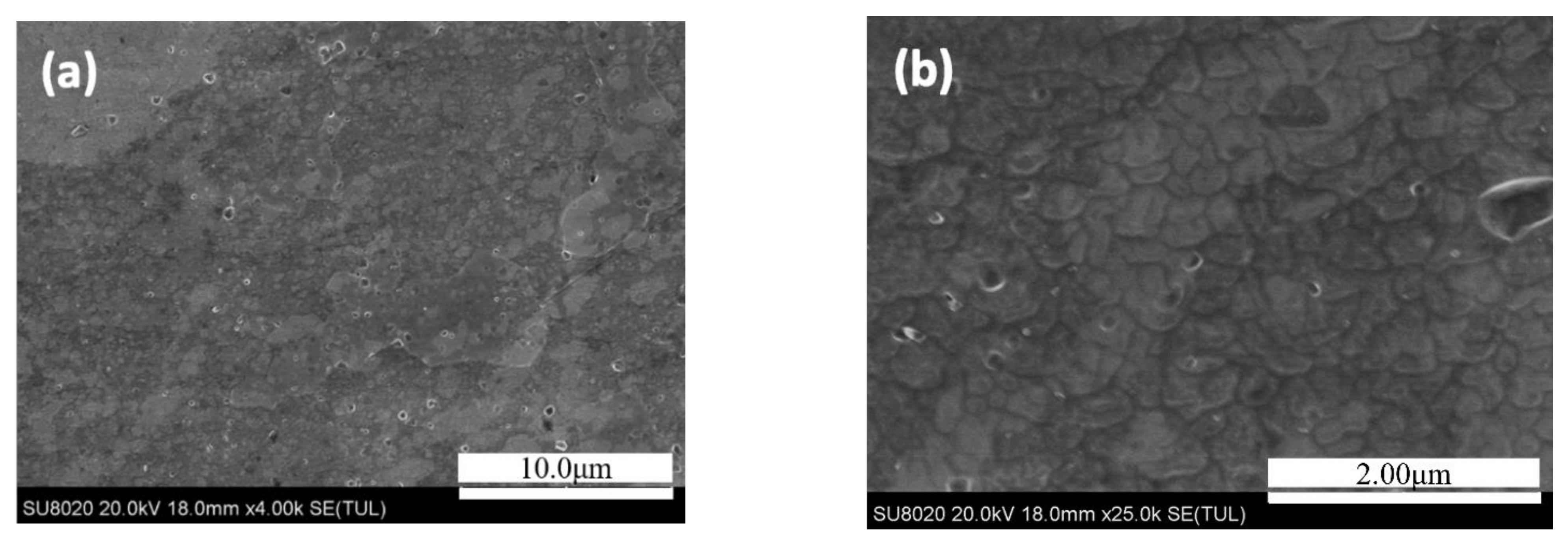 Materials 14 03615 g001