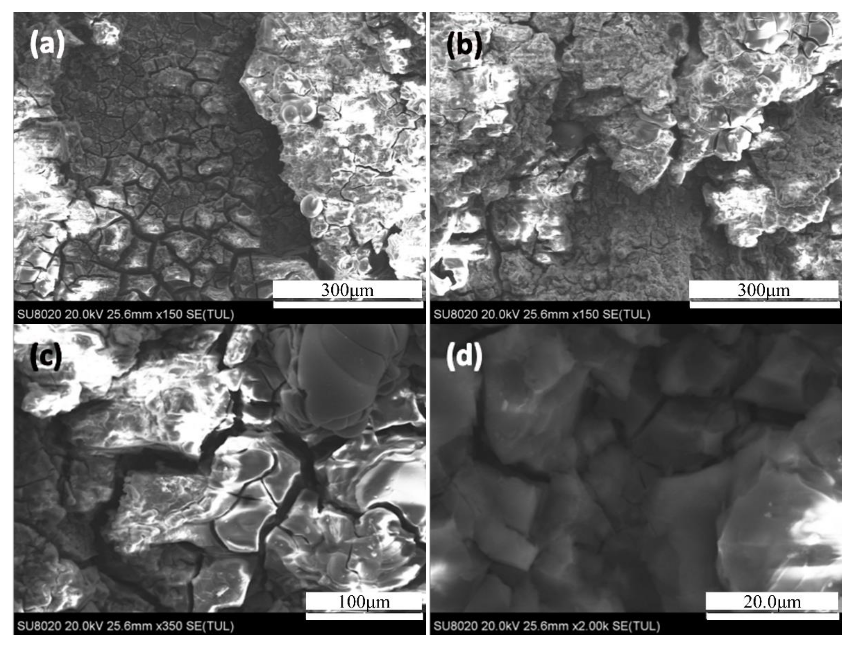 Materials 14 03615 g005