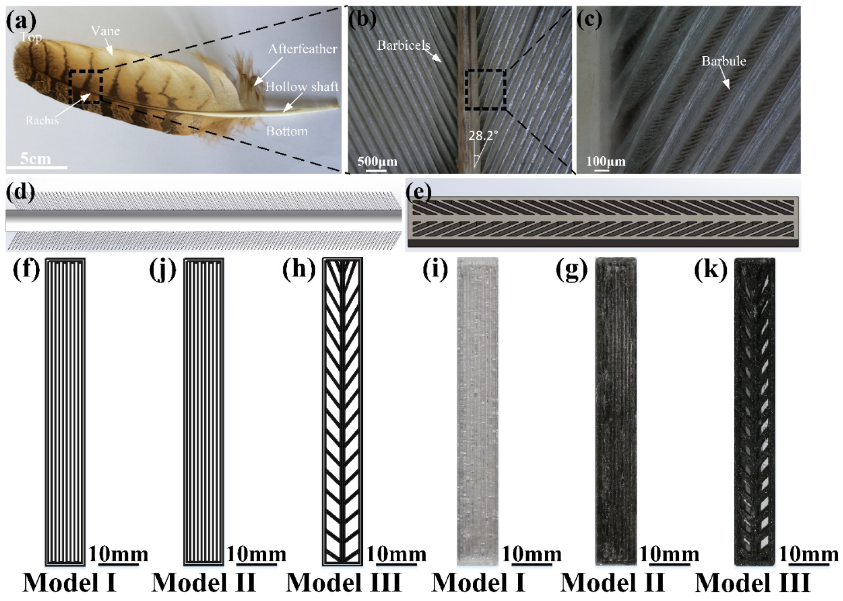 Materials 14 03618 g002