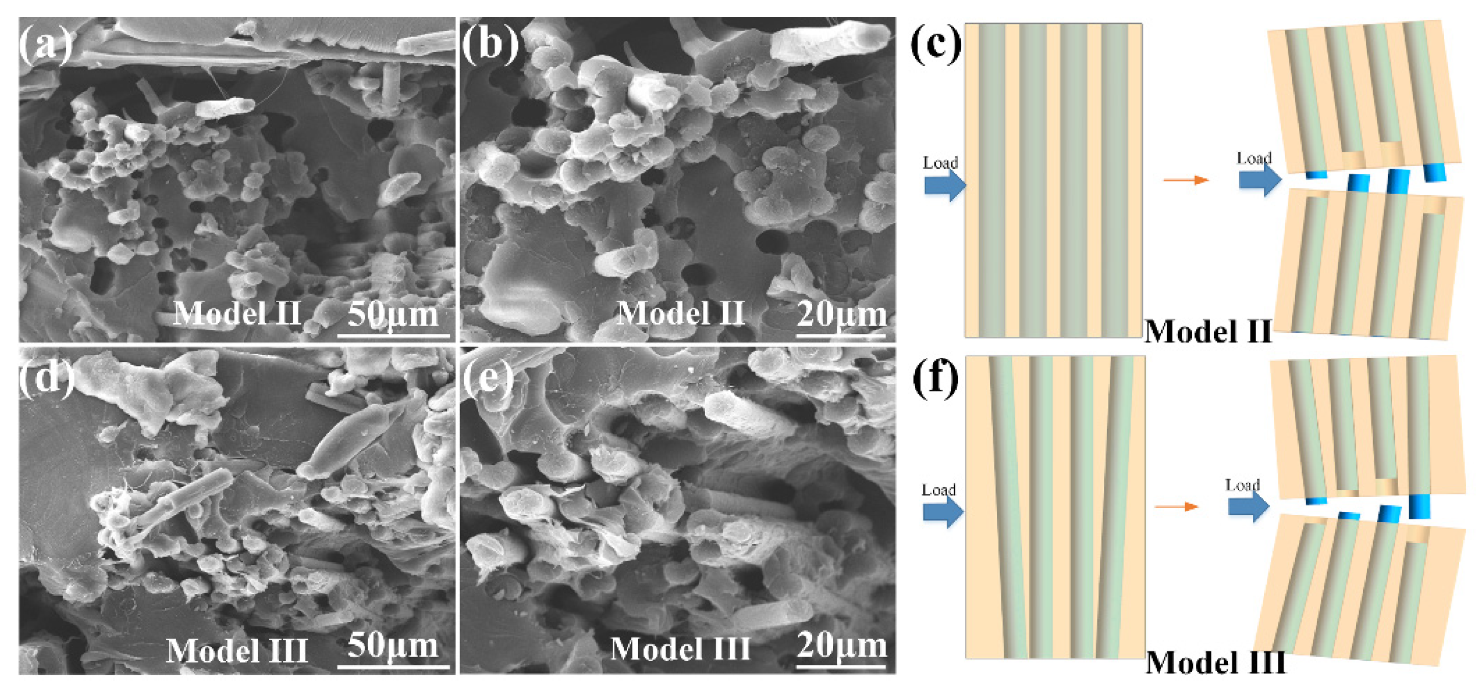 Materials 14 03618 g006