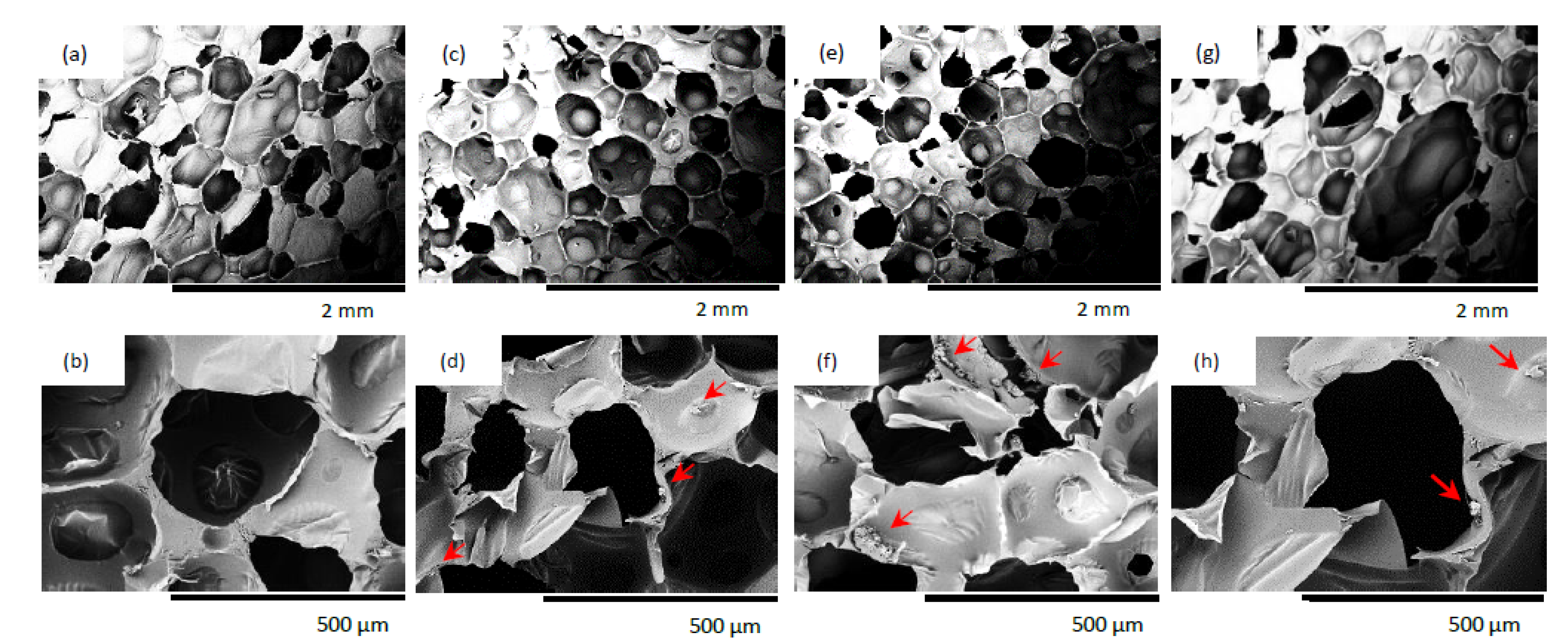 Materials 14 03620 g007