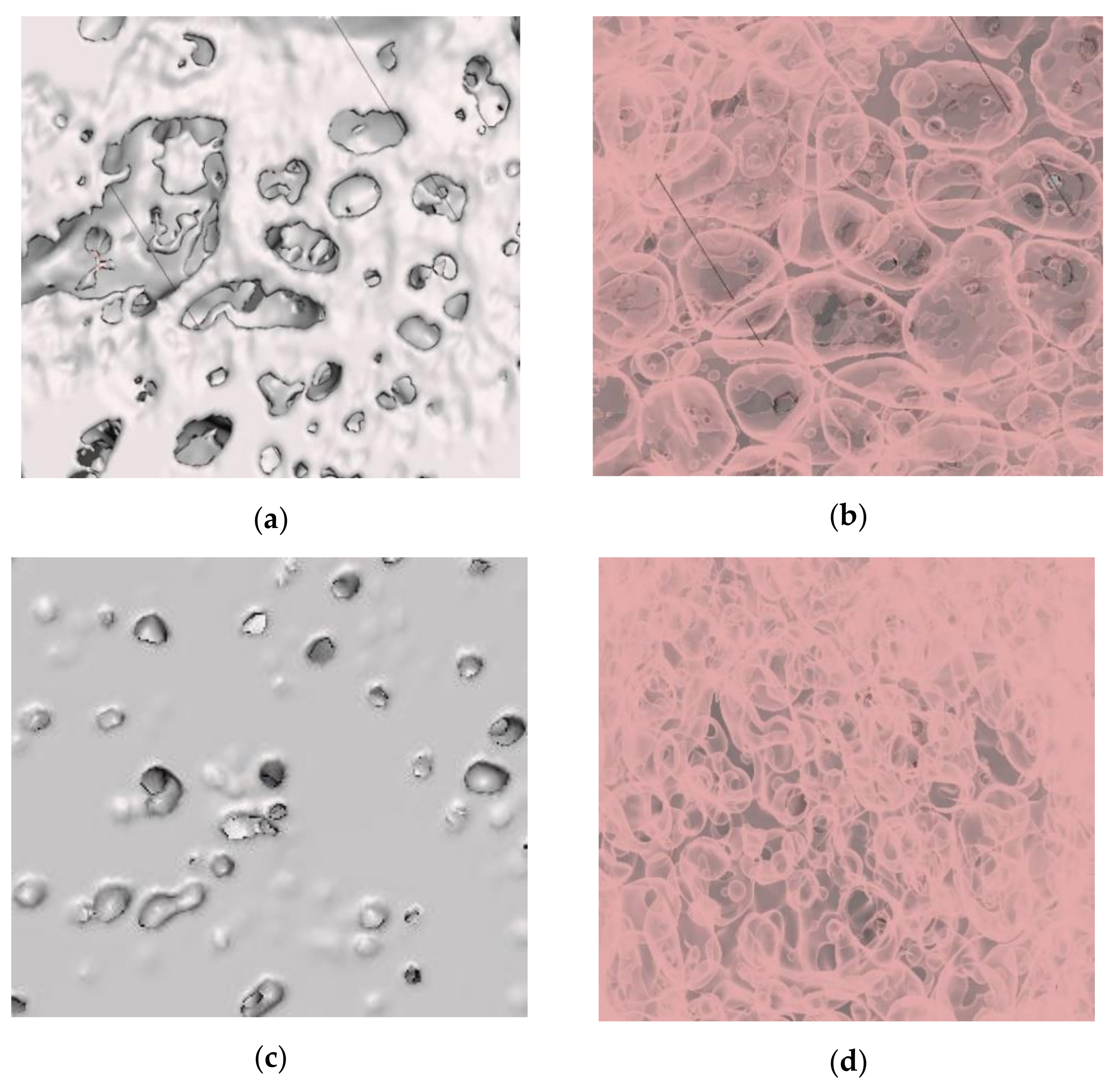 Materials 14 03623 g010