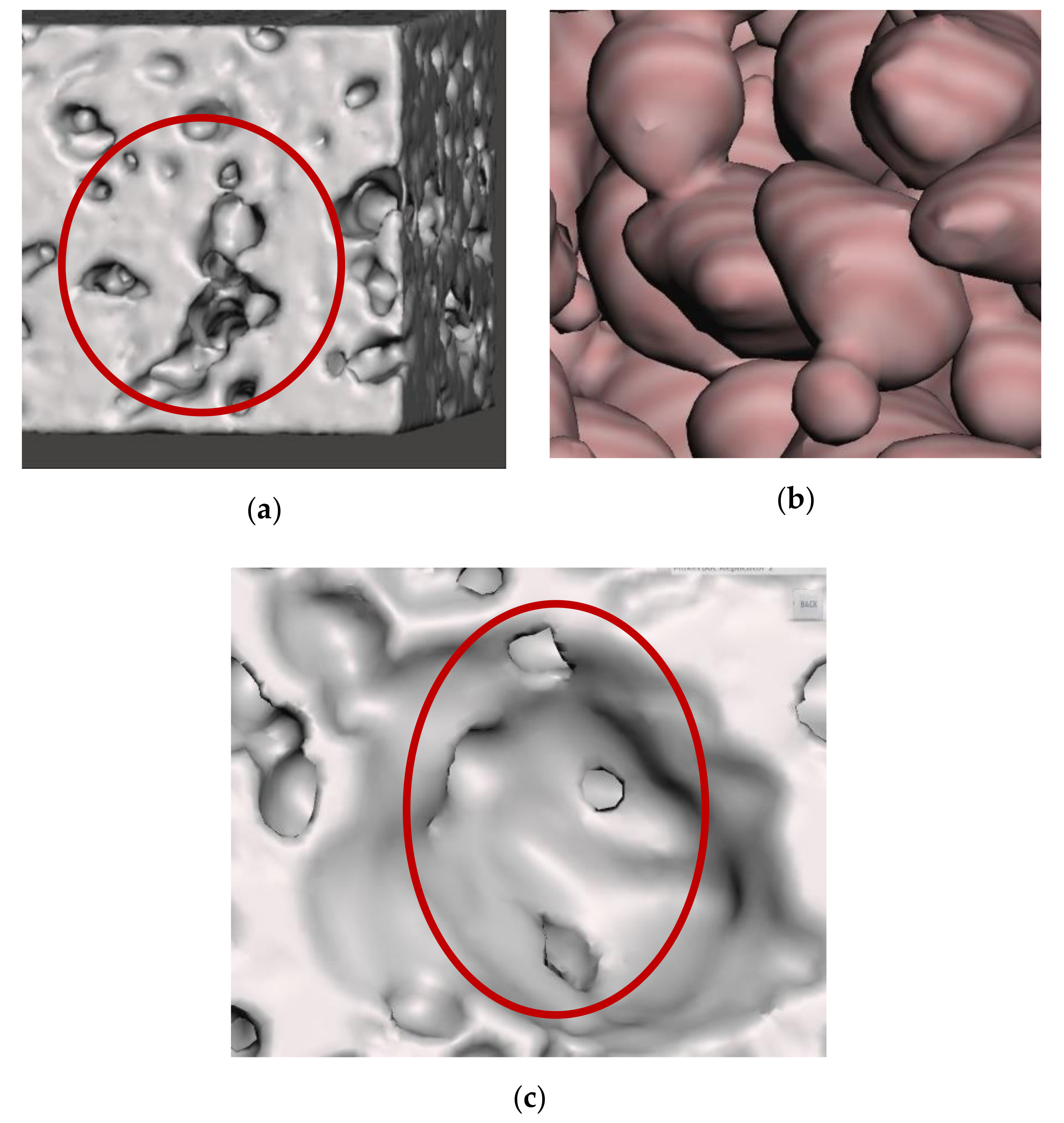 Materials 14 03623 g012