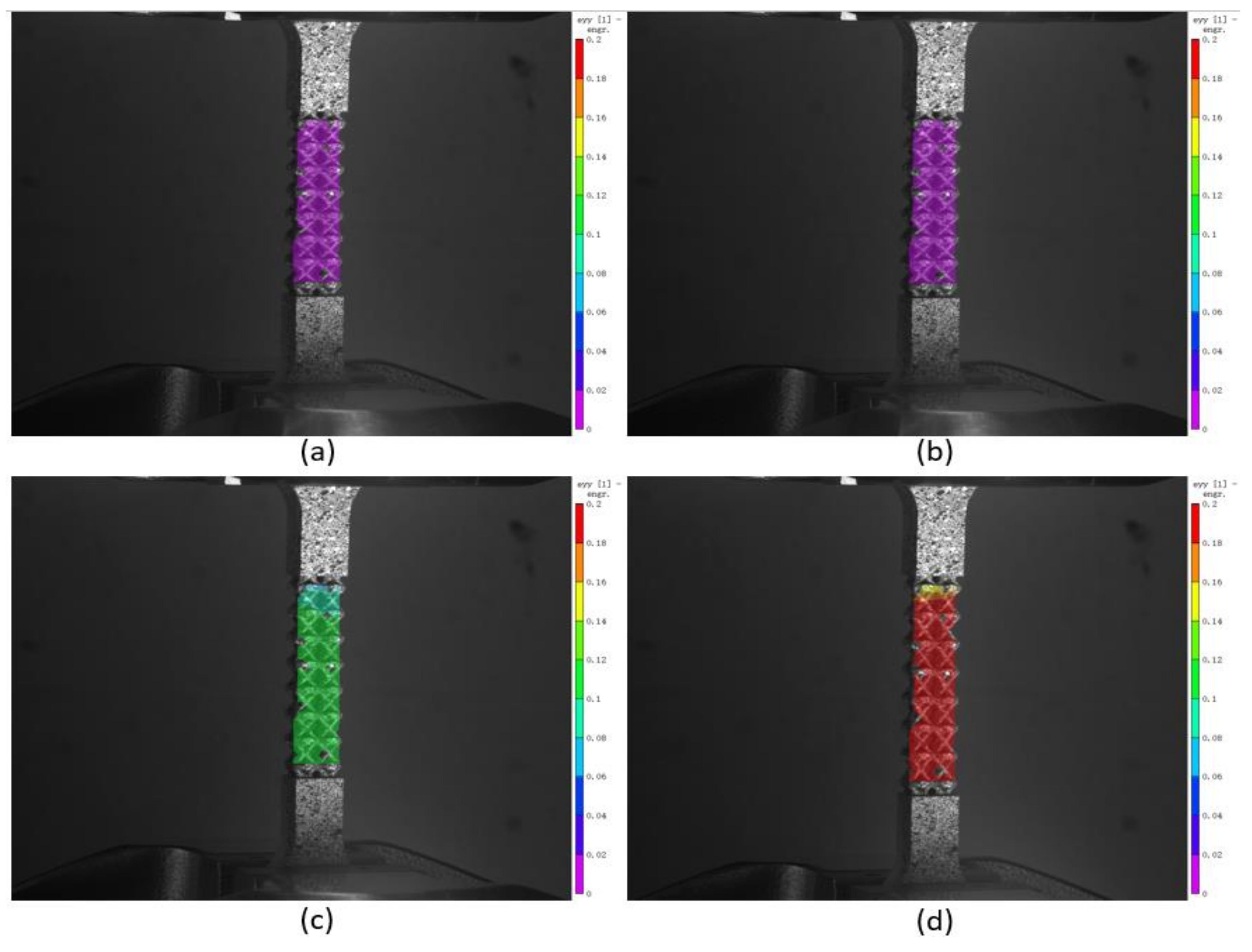 Materials 14 03654 g012