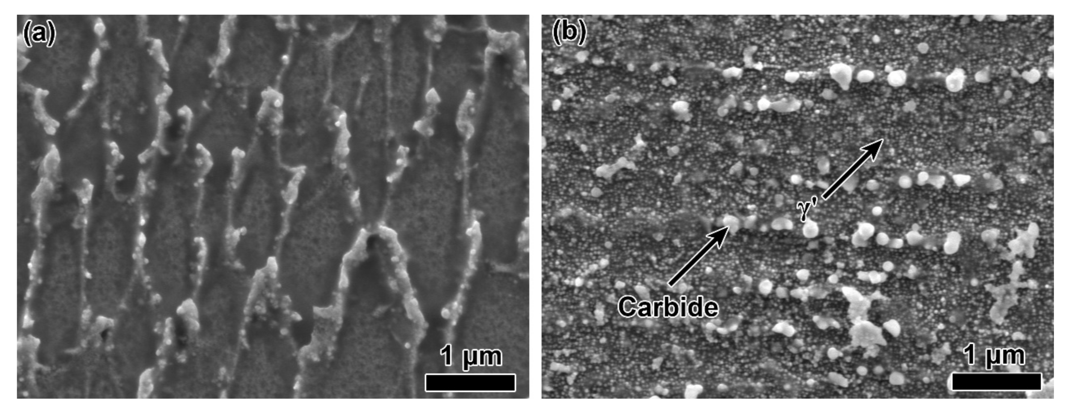 Materials 14 03668 g003