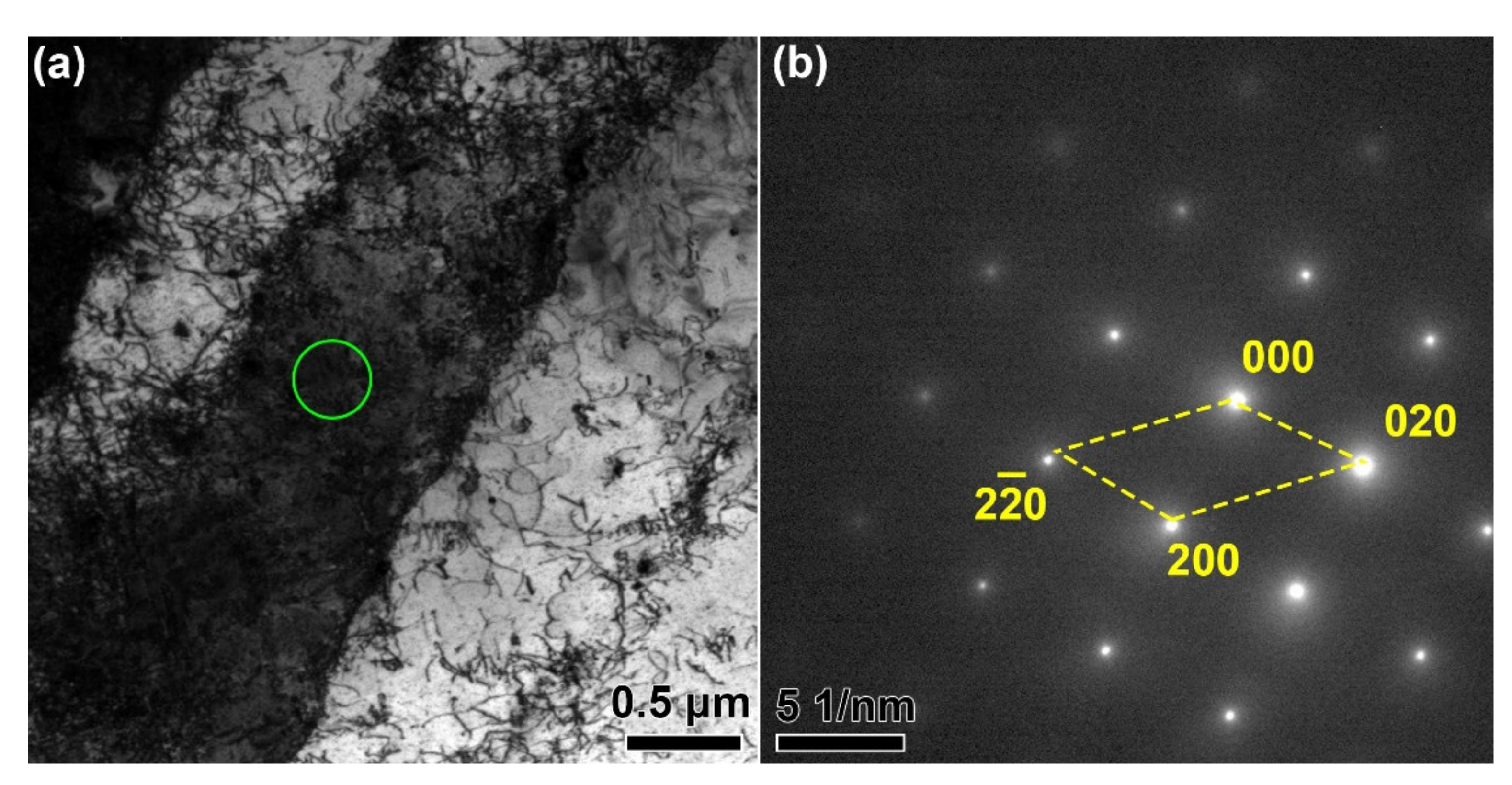 Materials 14 03668 g004