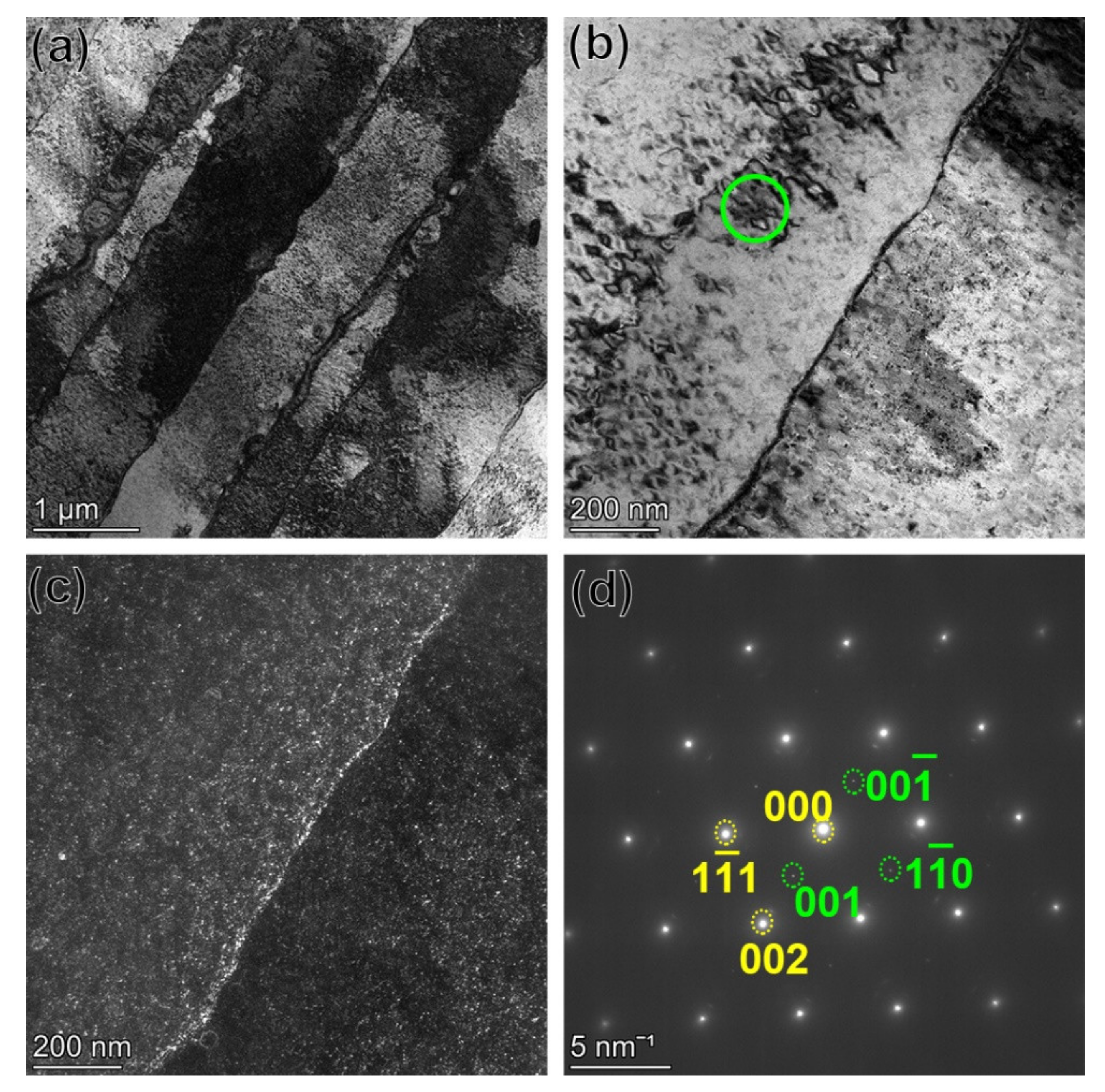 Materials 14 03668 g005