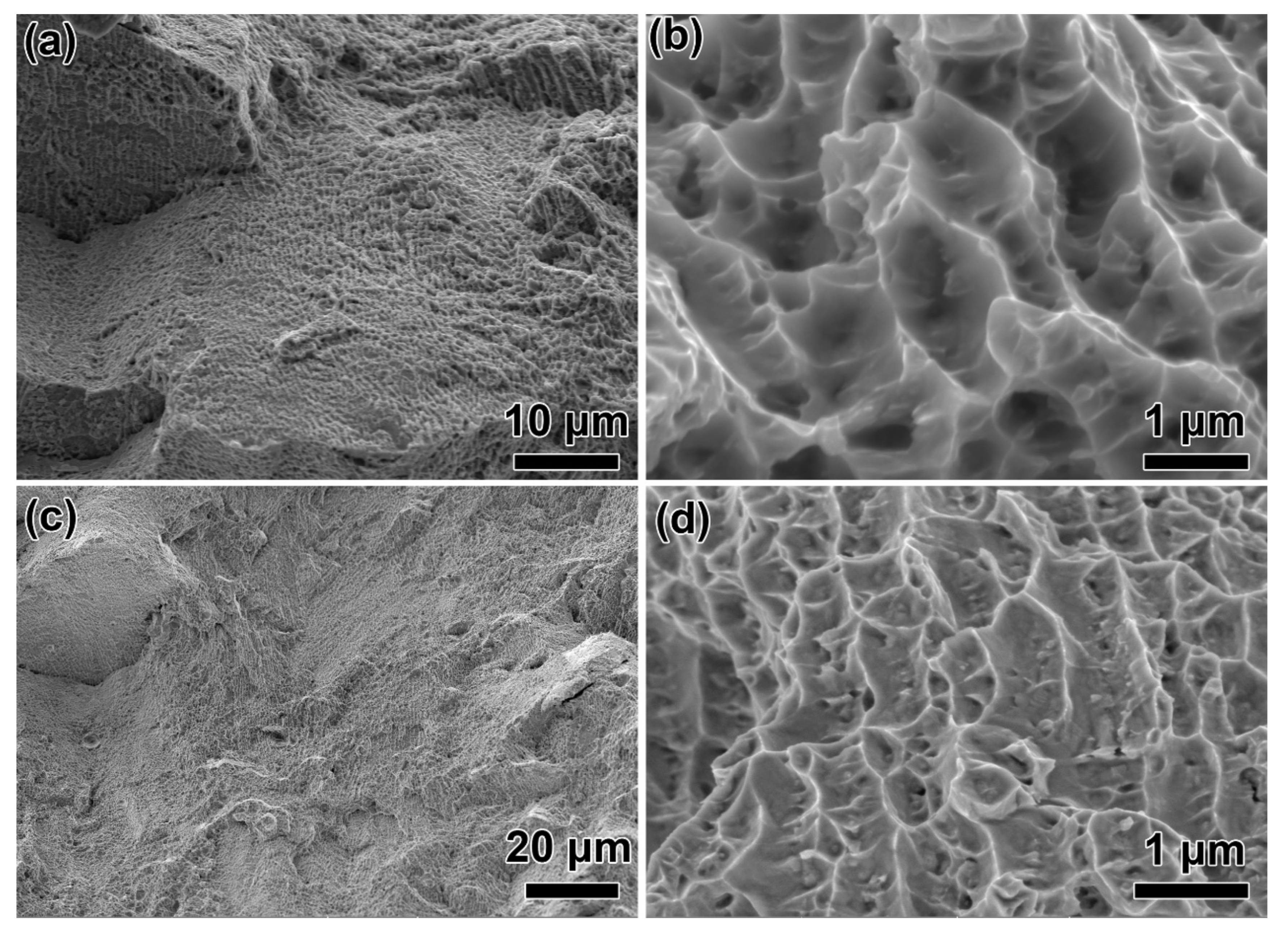 Materials 14 03668 g008