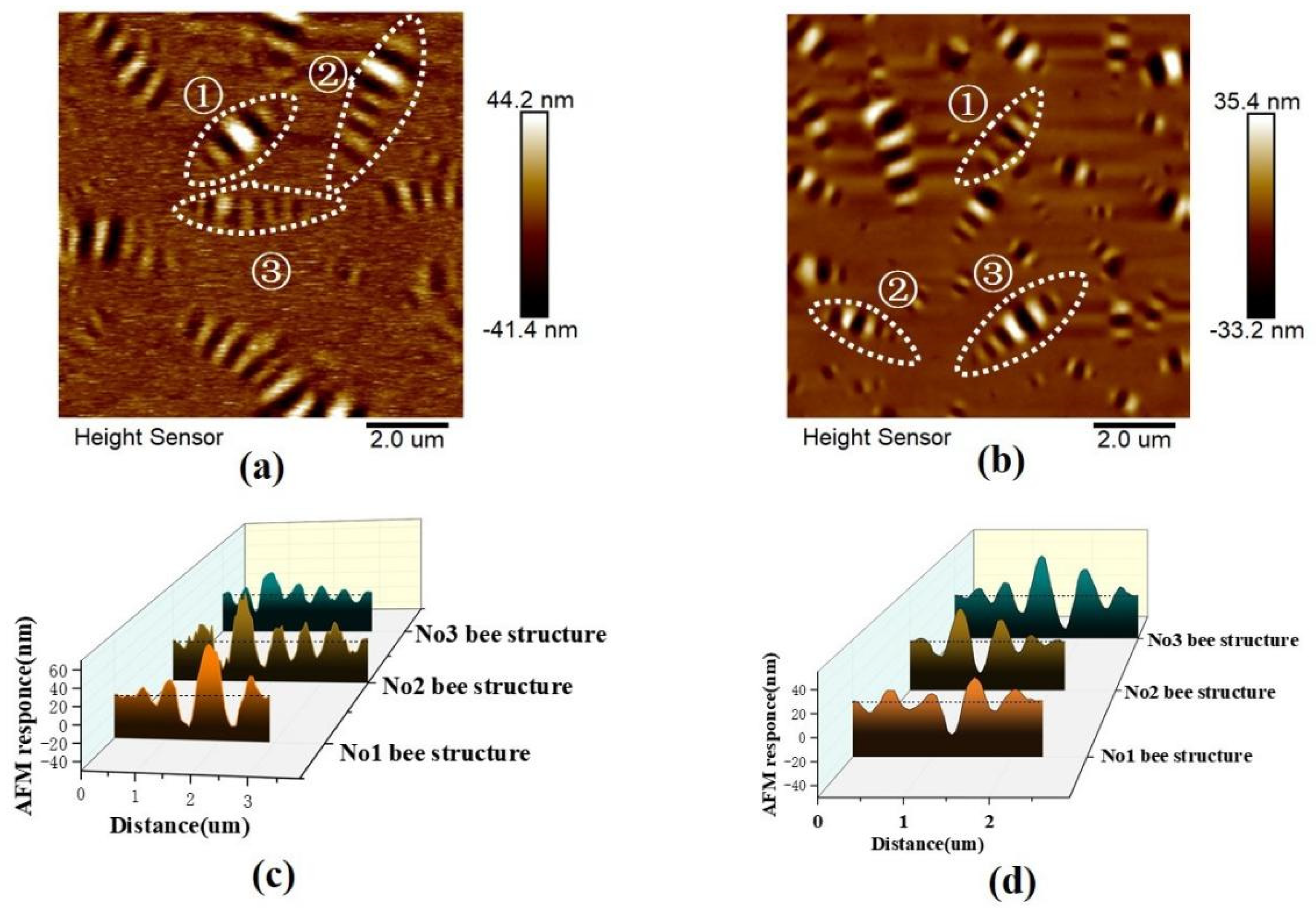 Materials 14 03677 g003
