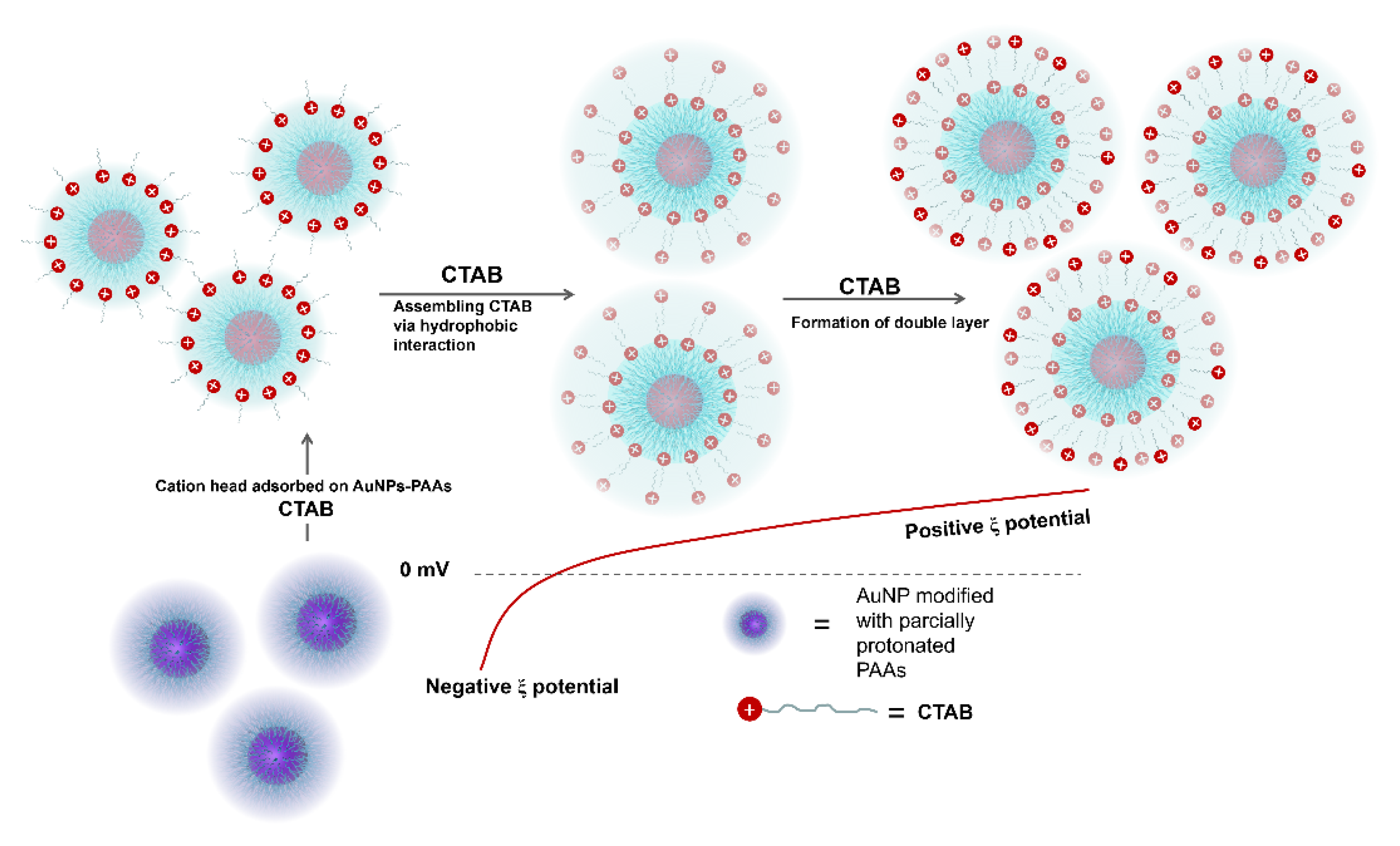 Materials Free Full Text Study On The Mechanism Of The Reversible Color Change Of Polyacrylic Acid Modified Gold Nanoparticles Responding To Ph Html