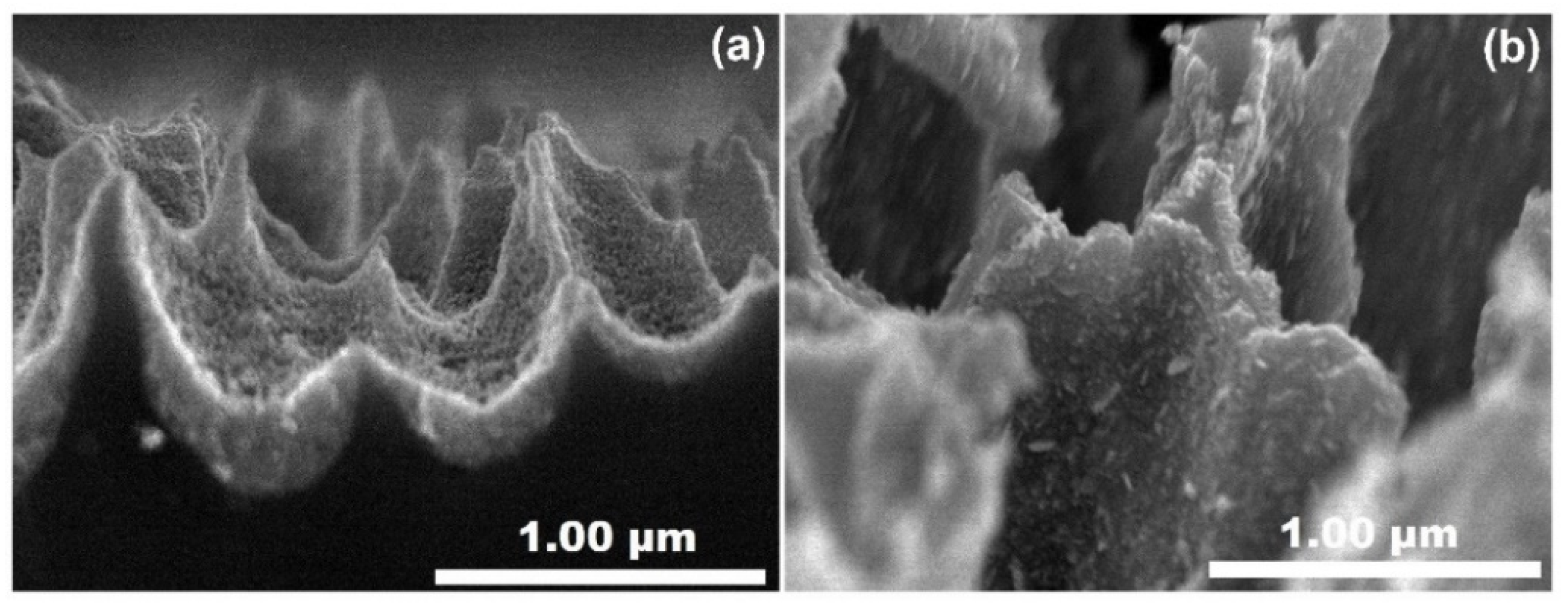 Materials 14 03697 g004