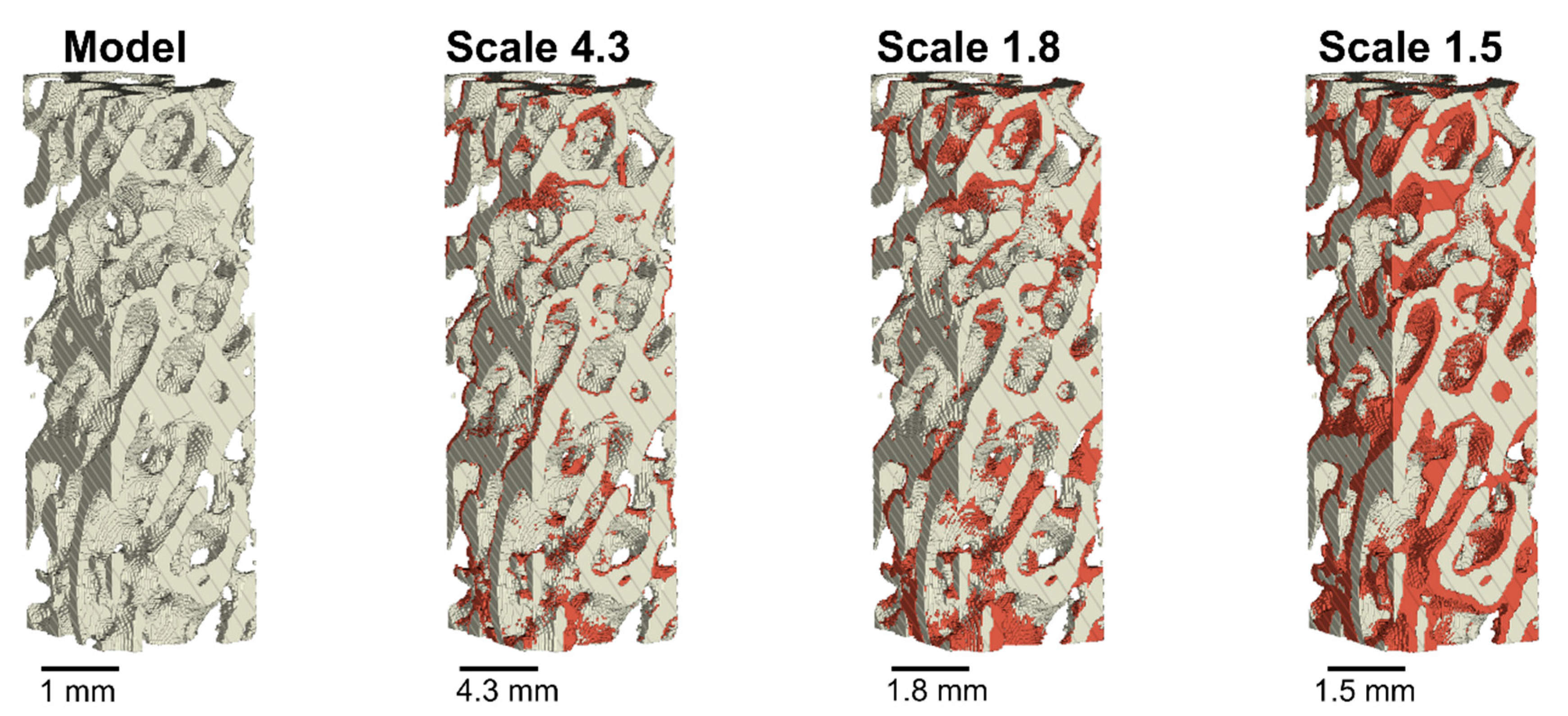 Materials 14 03712 g005