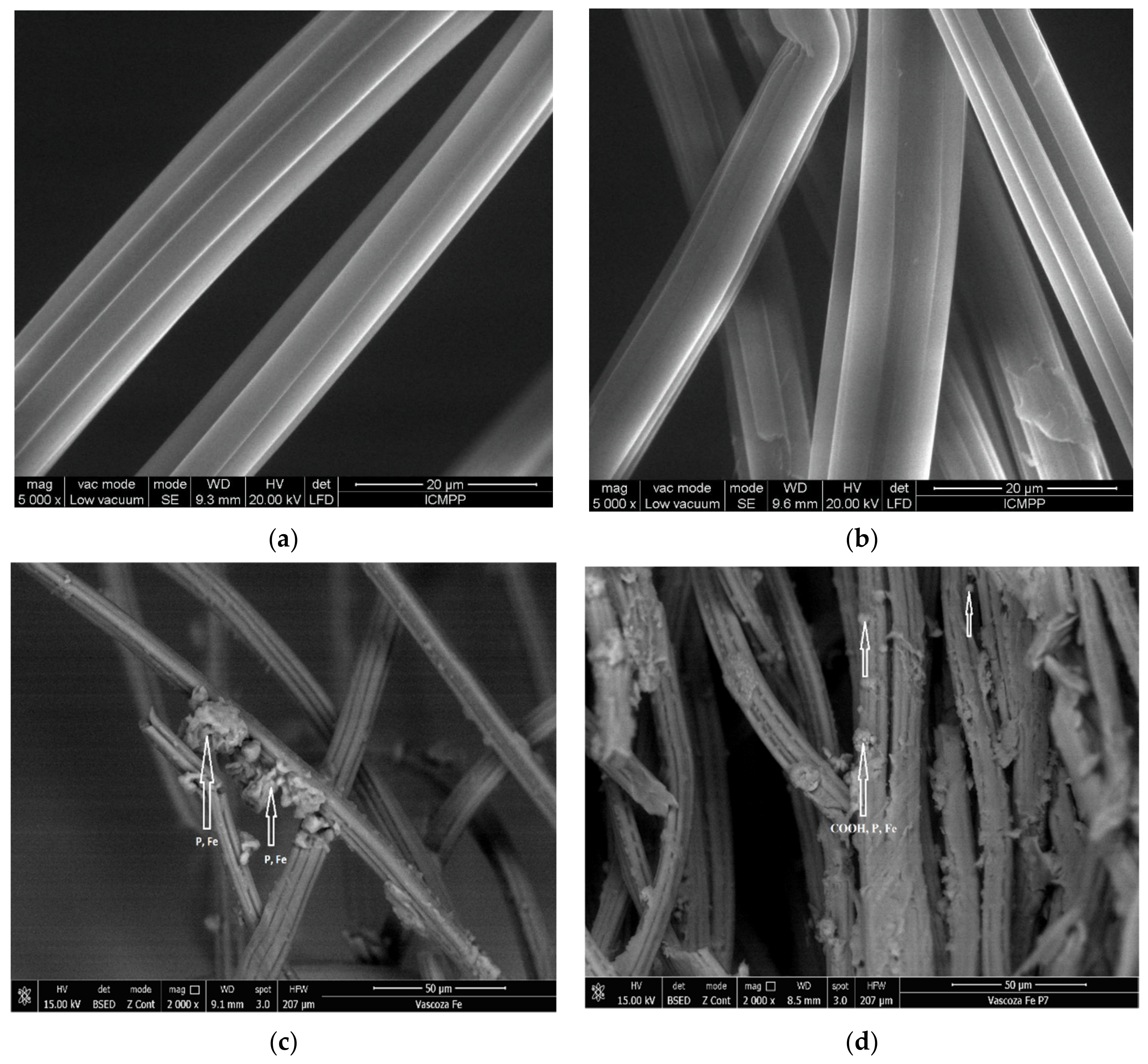 Materials 14 03731 g003