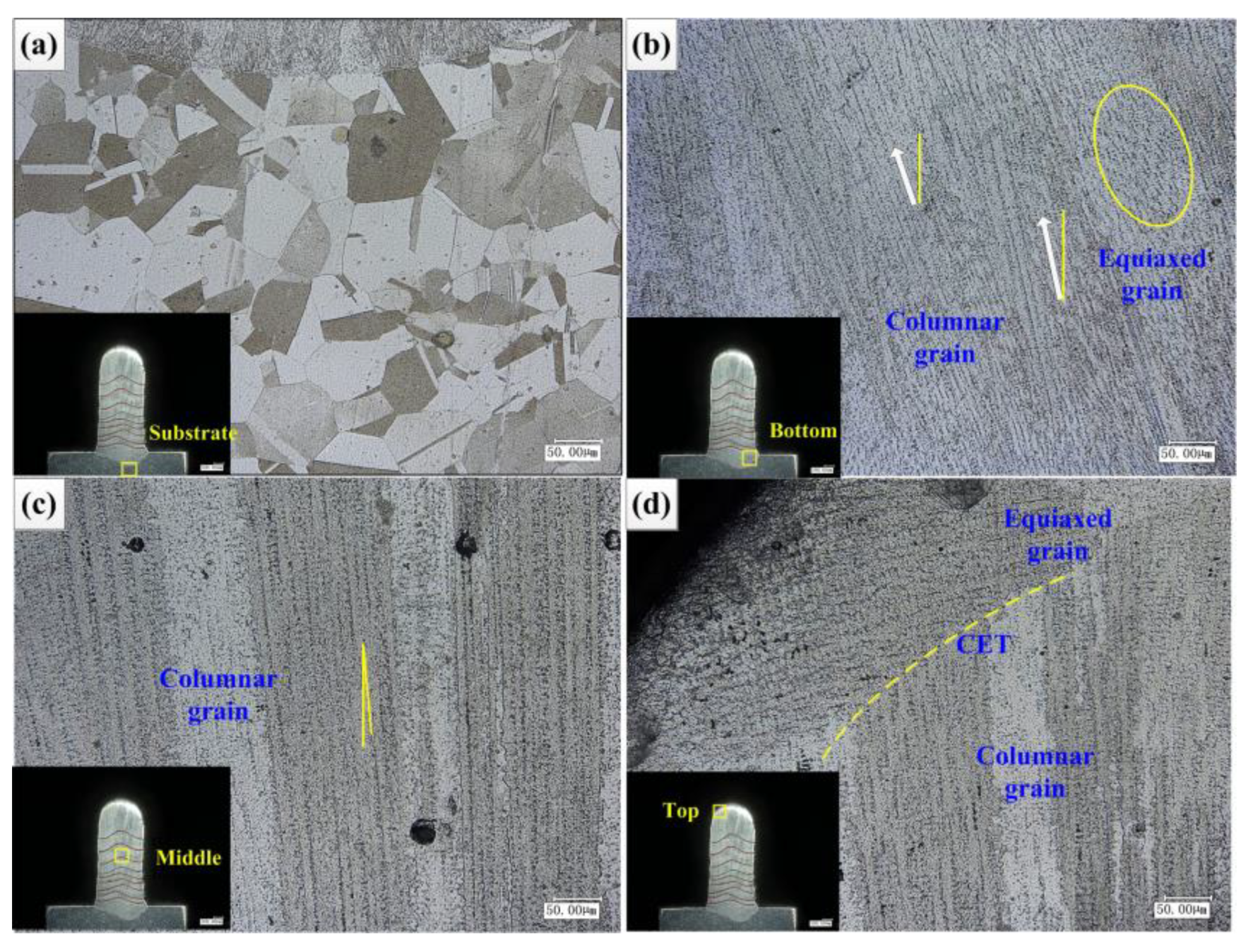 Materials 14 03734 g016