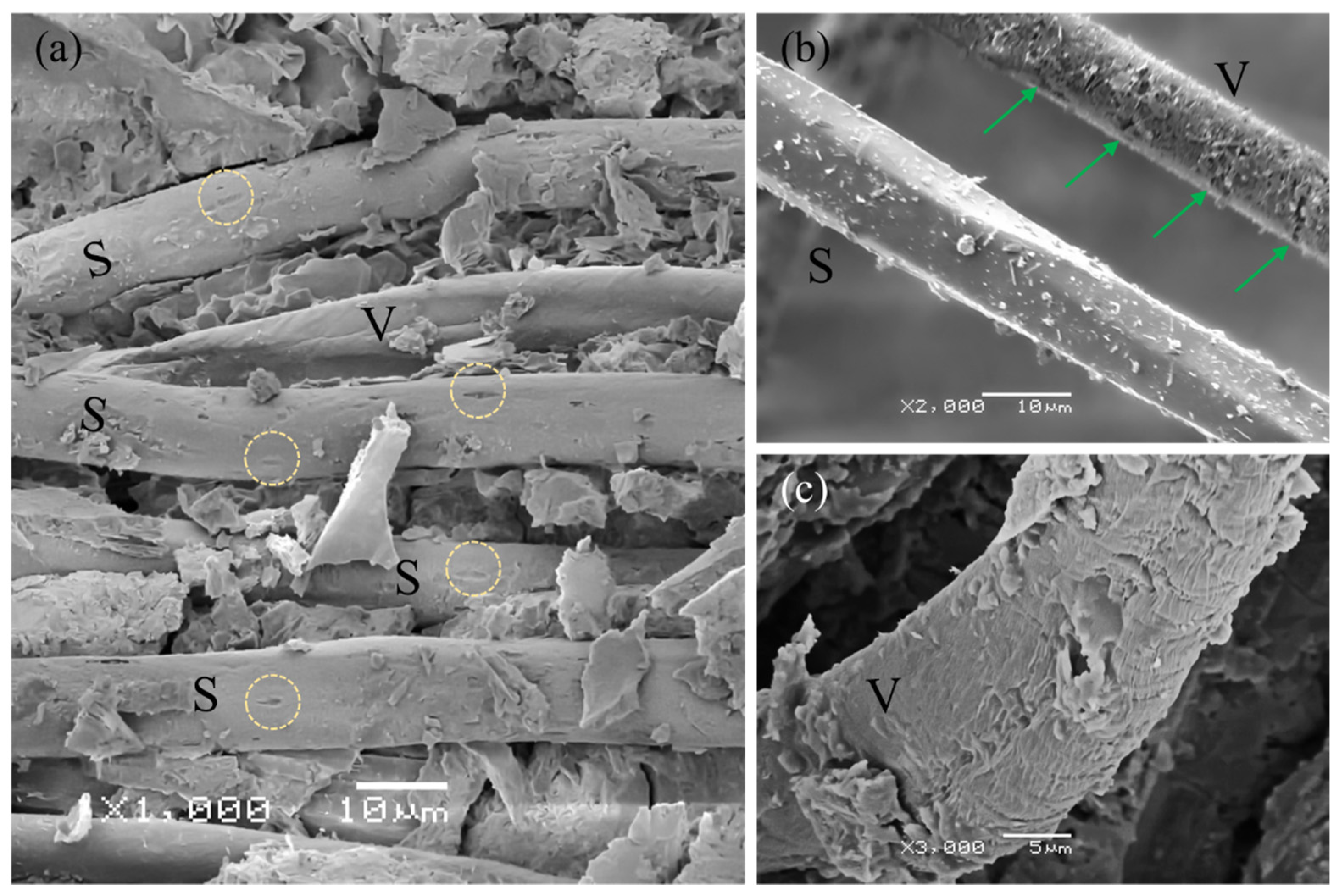 Materials 14 03742 g010