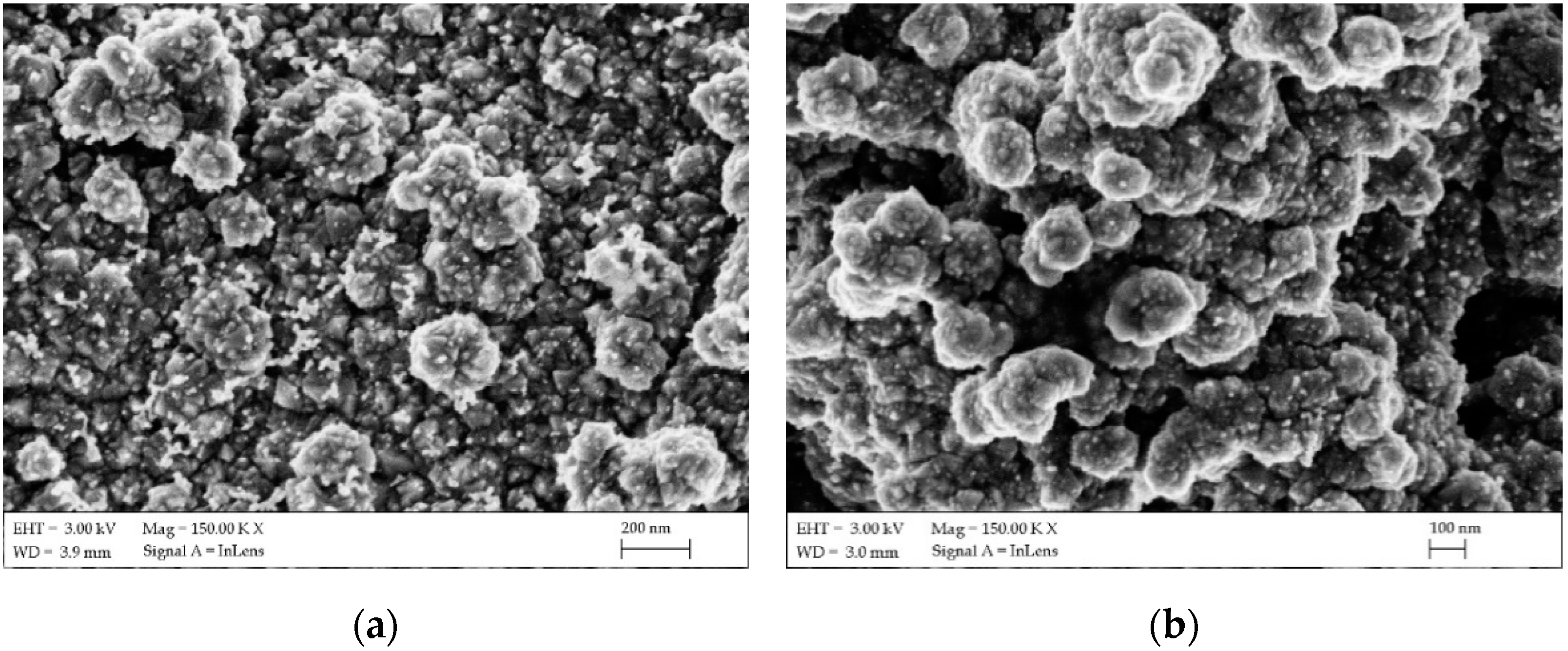 Materials 14 03743 g007