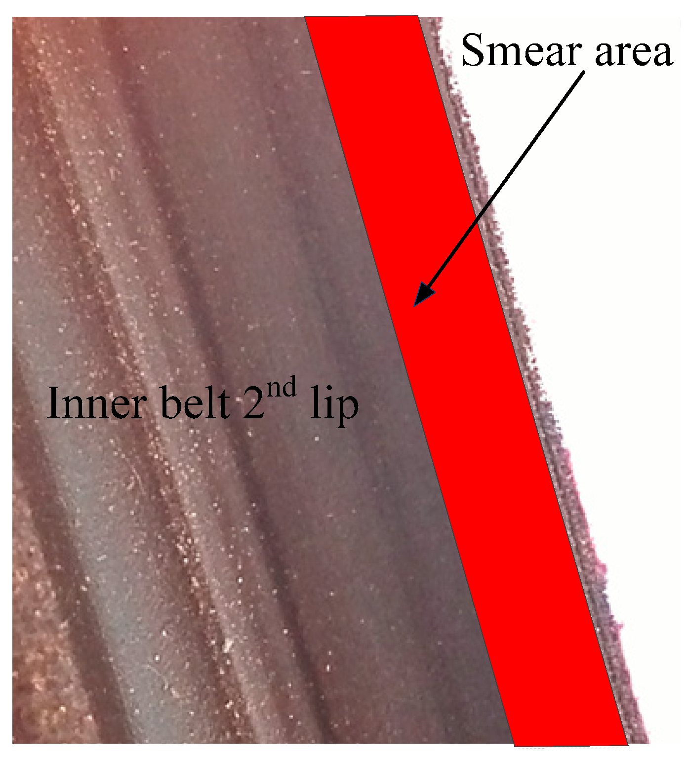 Materials 14 03748 g024