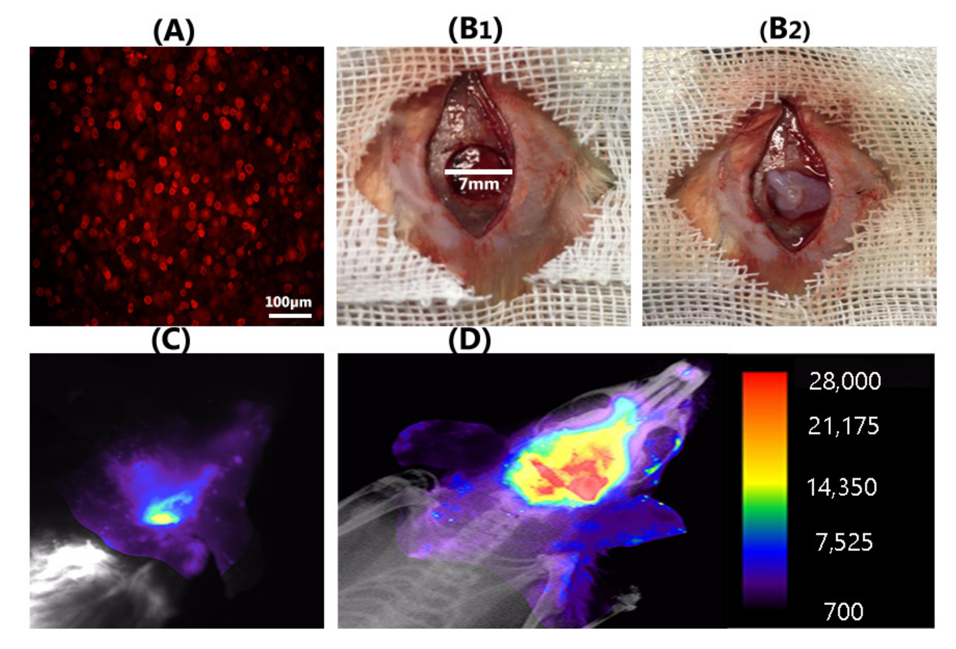Materials 14 03909 g007