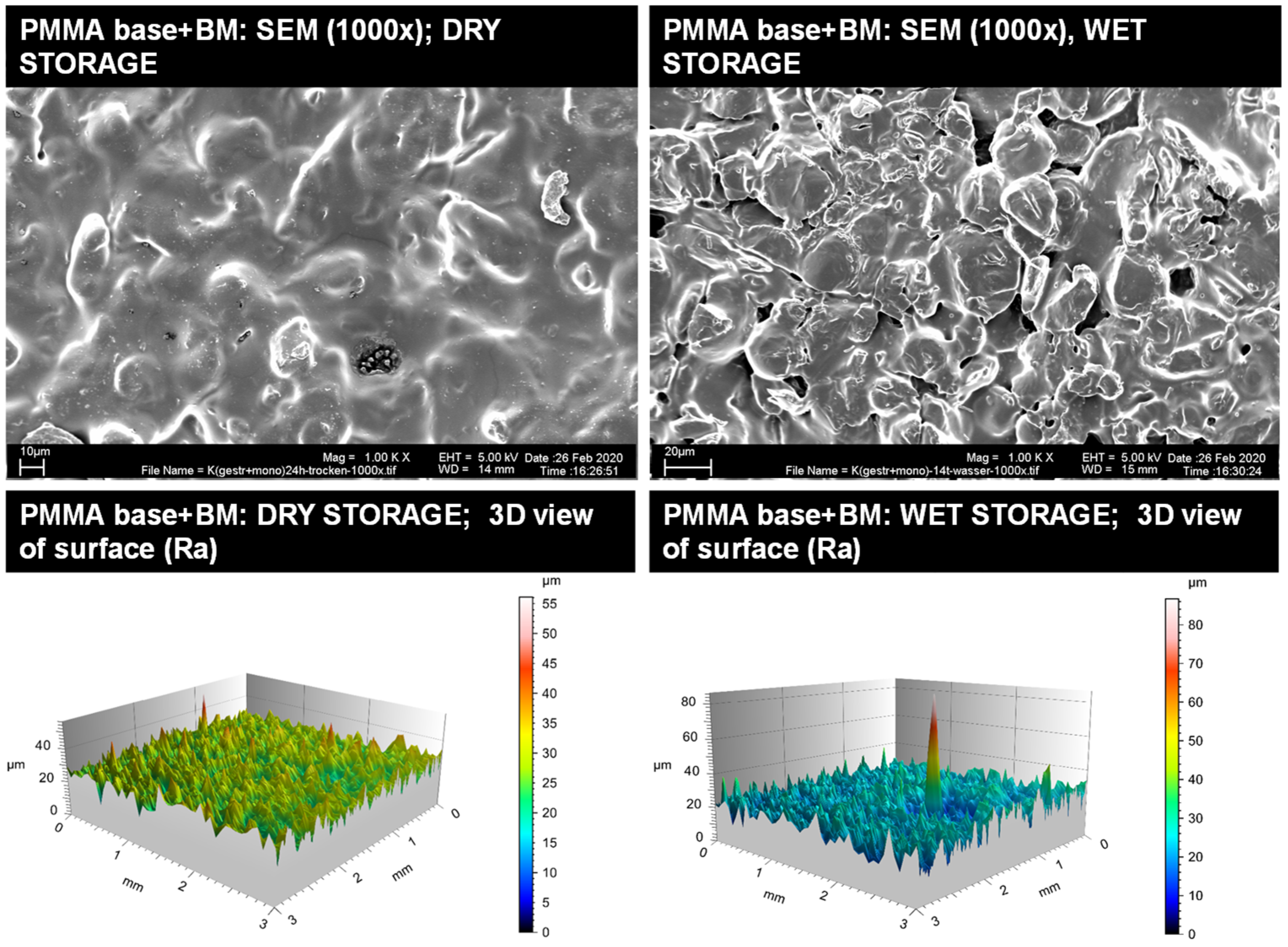 Кратное 1000. 1000 Кратное увеличение. 1000 Кратно увеличение фото. Sem Imaging.