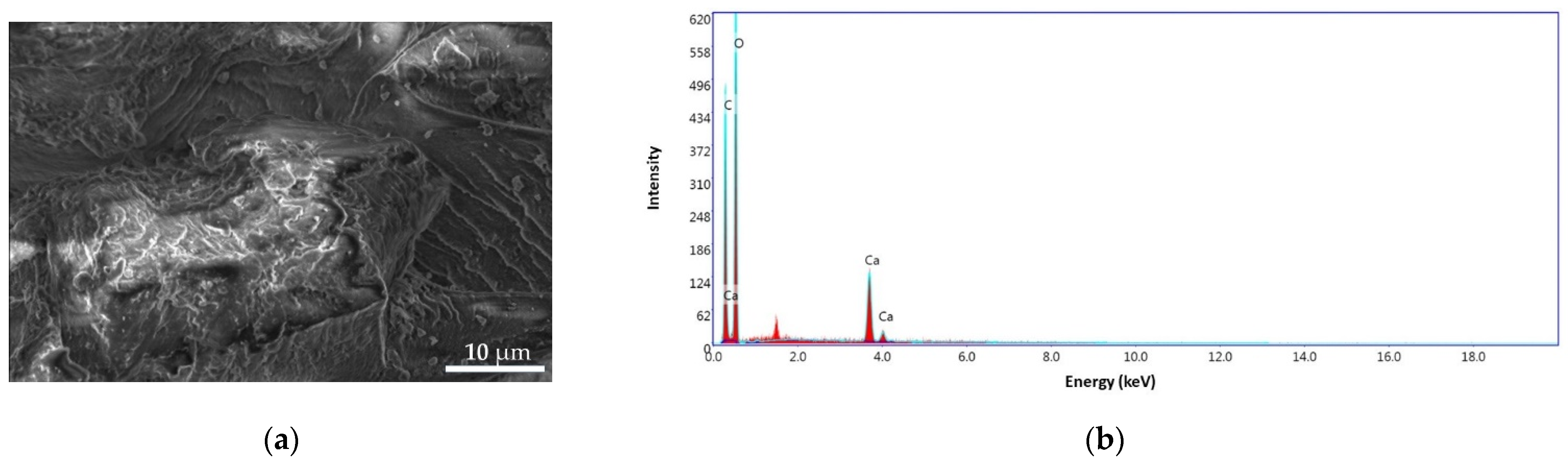 Materials 14 03946 g012