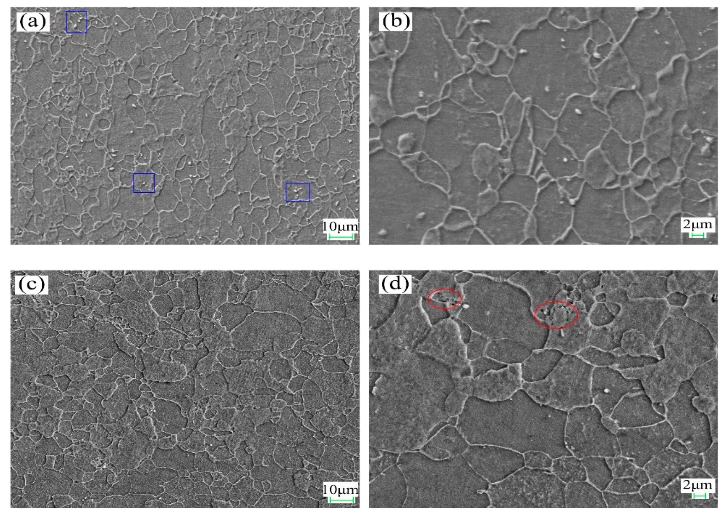 Materials 14 04040 g001a